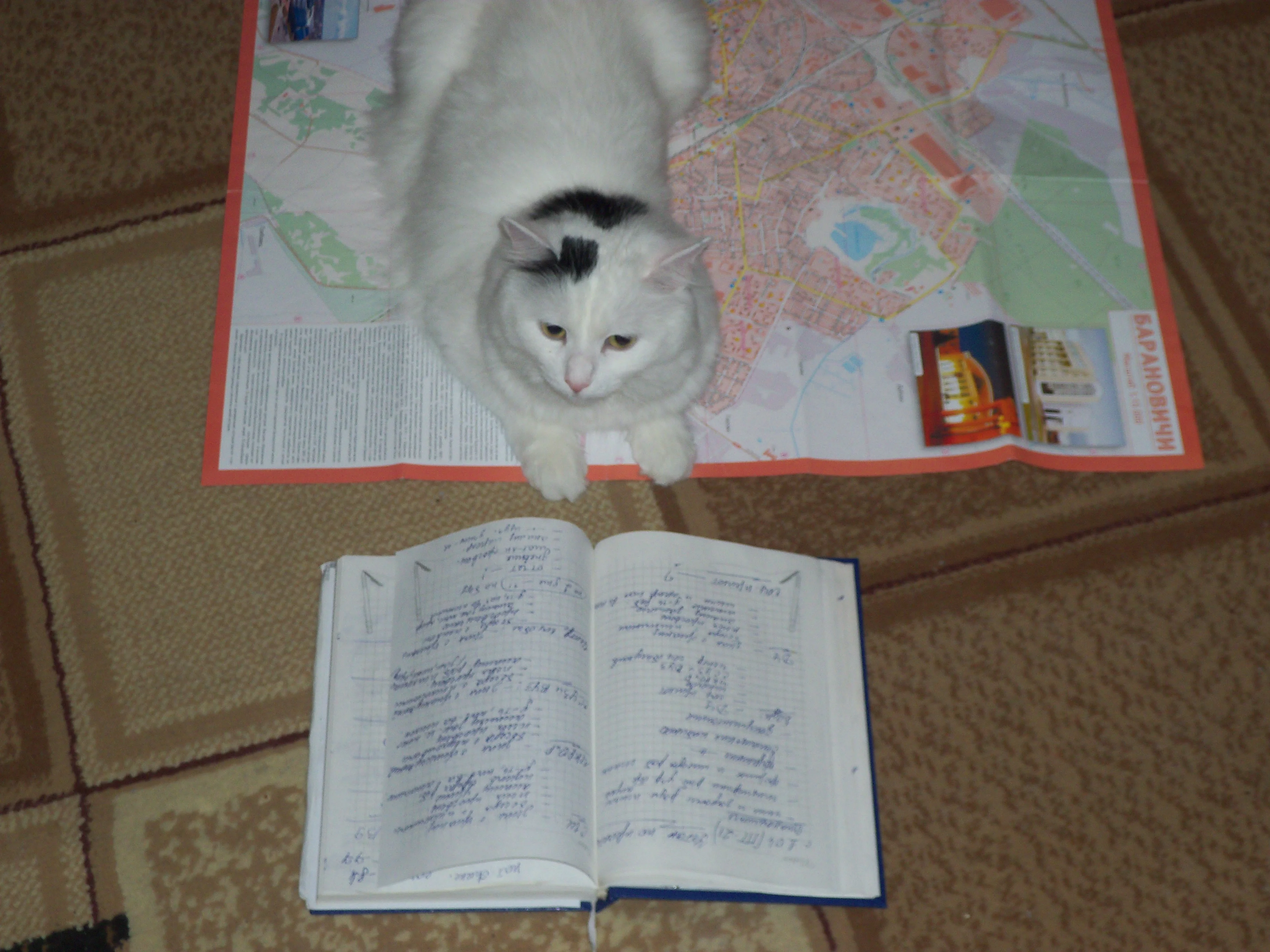 Изображение 016.webp