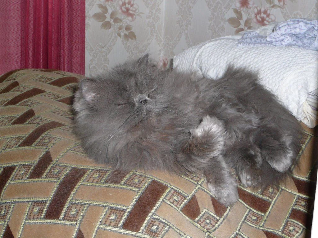 Изображение 020.webp