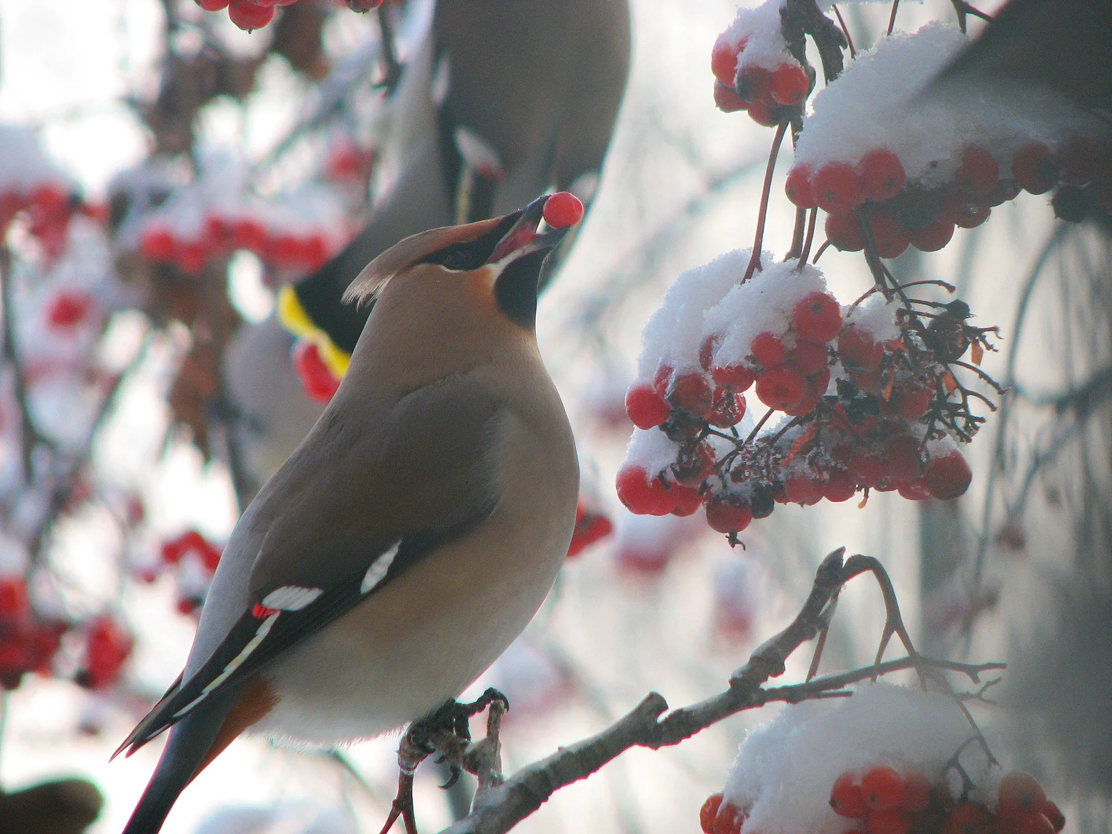 Изображение 024.webp