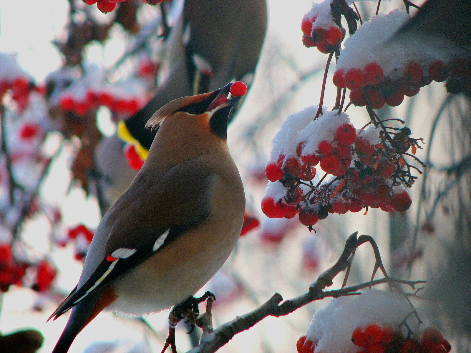 Изображение 024.webp