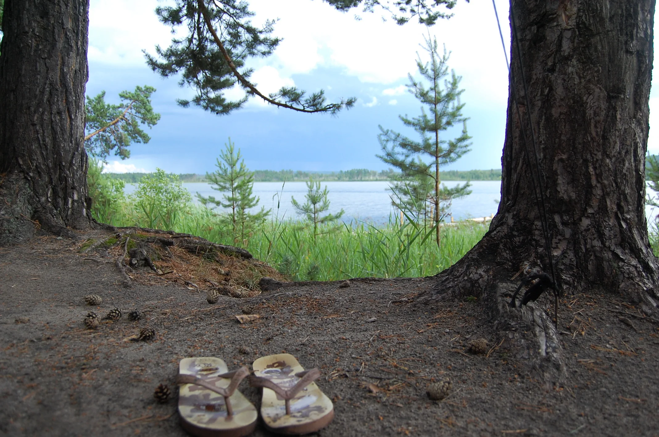 Изображение 026.webp