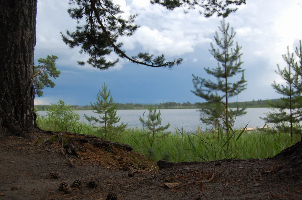 Изображение 030-1.webp