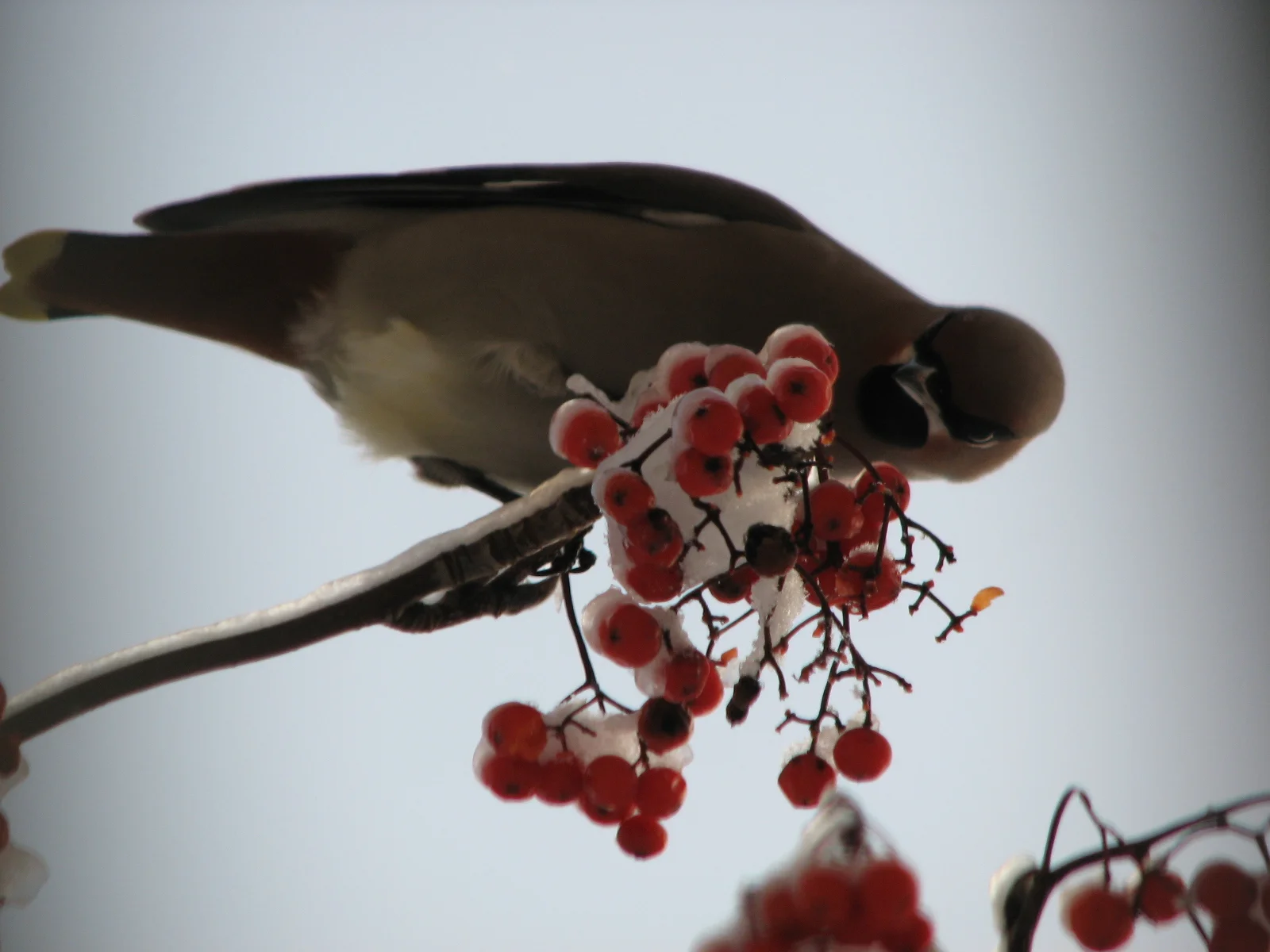 Изображение 032.webp