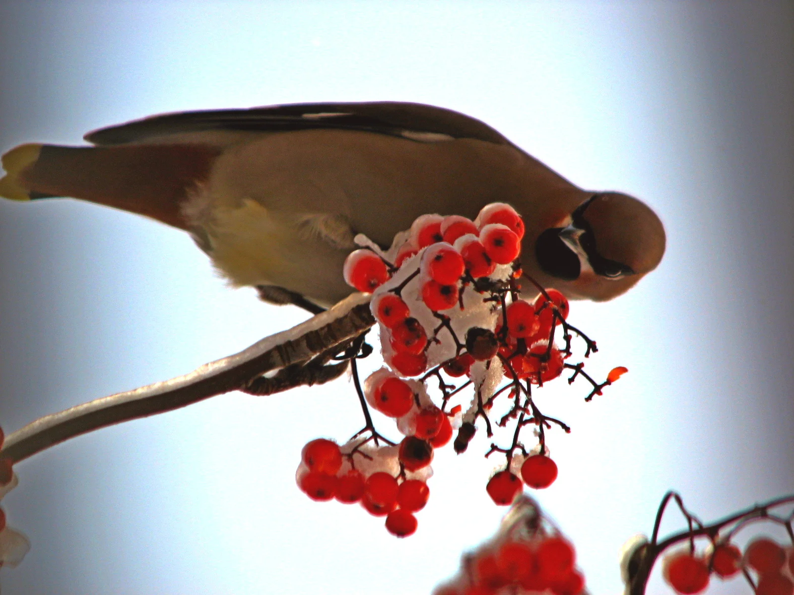 Изображение 032.webp