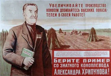 Изображение 037.webp