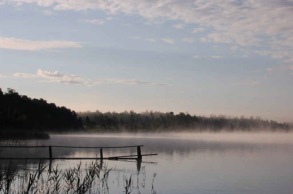 Изображение 043-1.webp