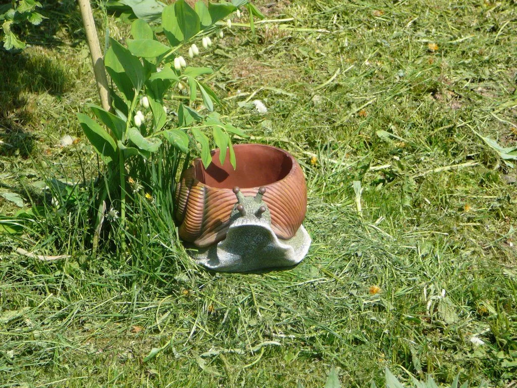 Изображение 050.webp