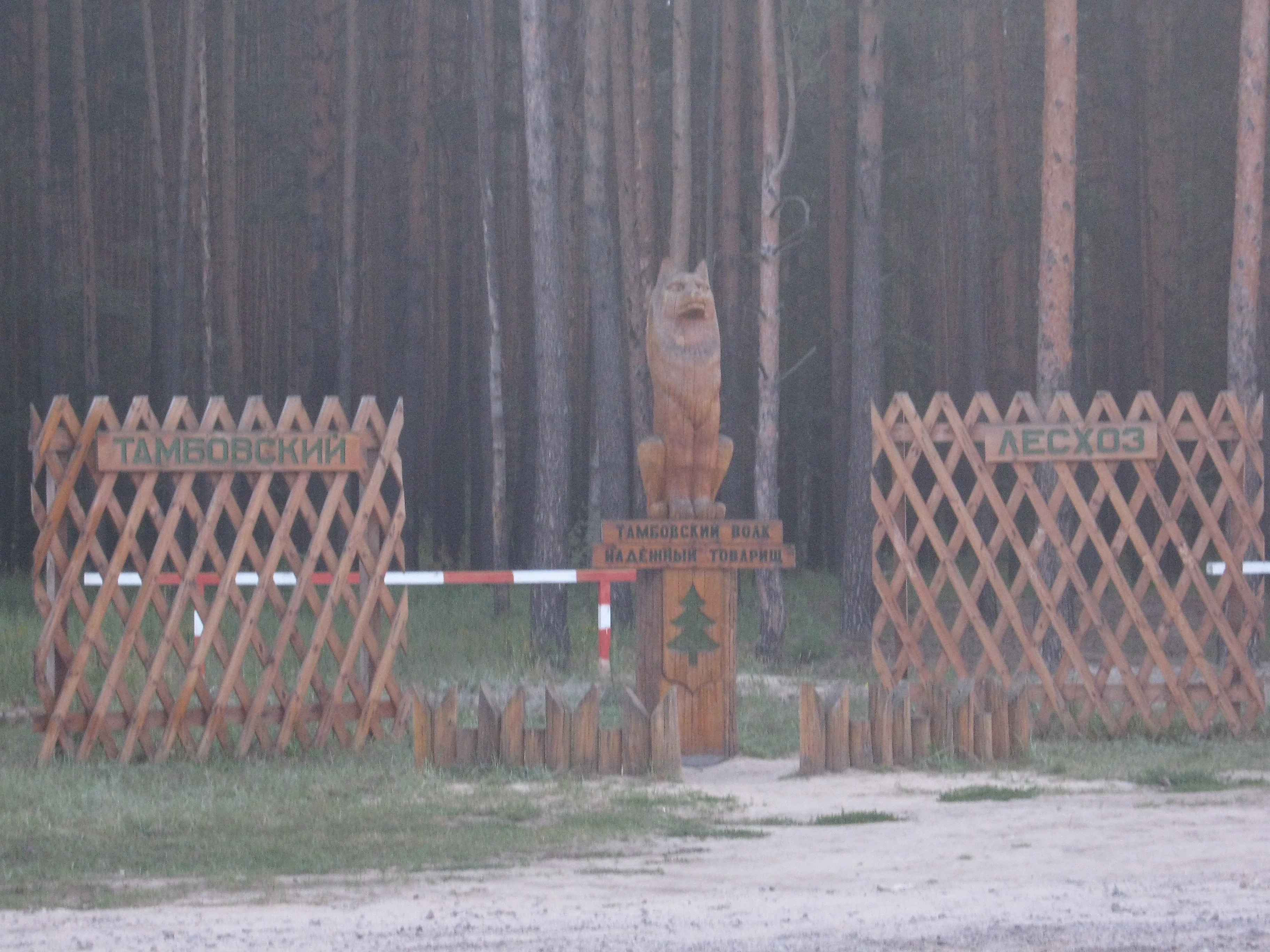 Изображение 067.webp