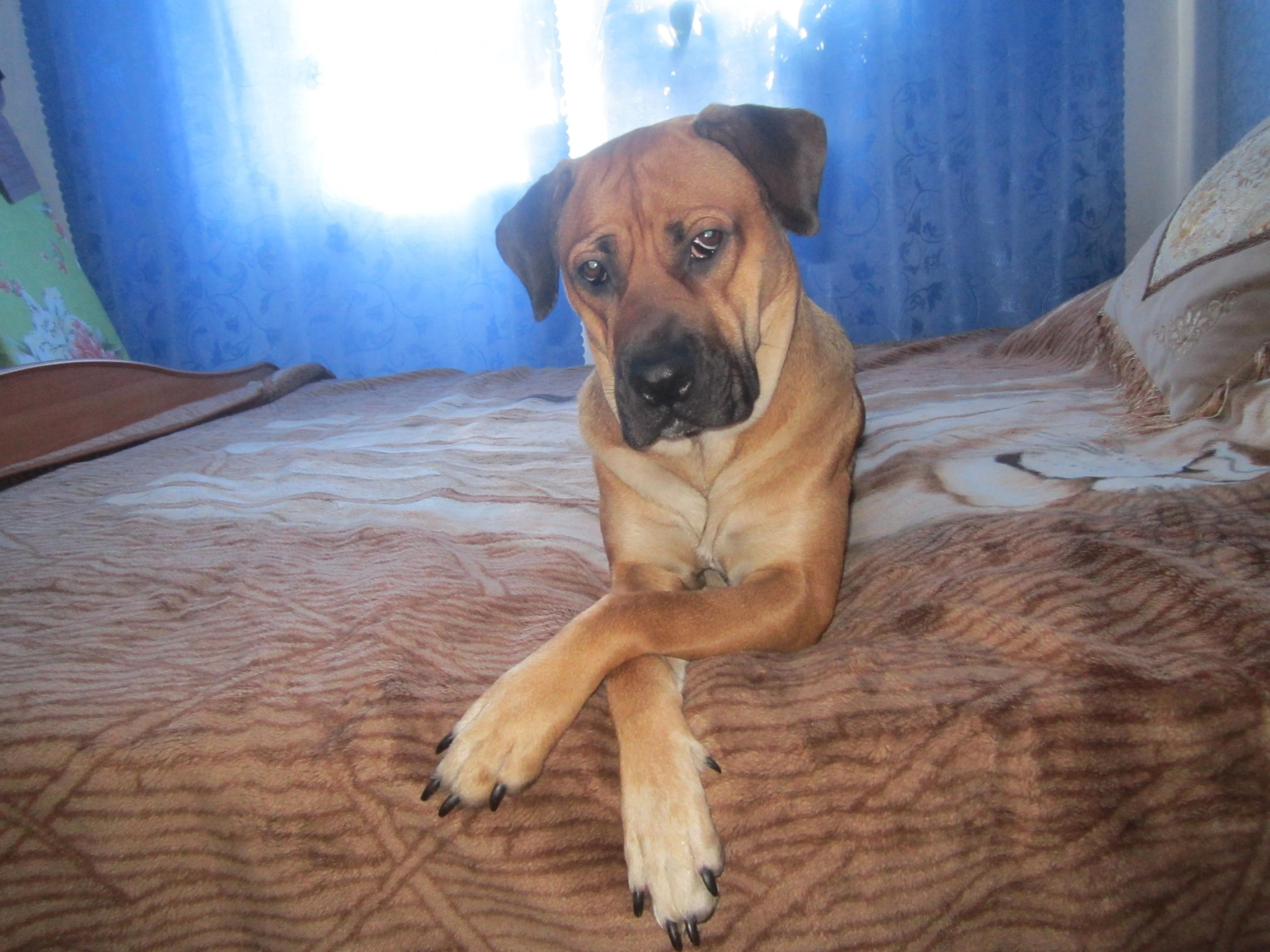 Изображение 075.webp