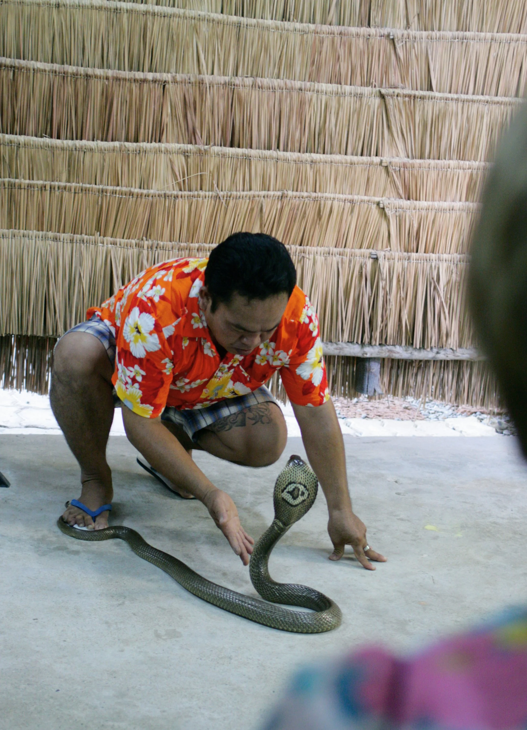 Изображение 085.webp