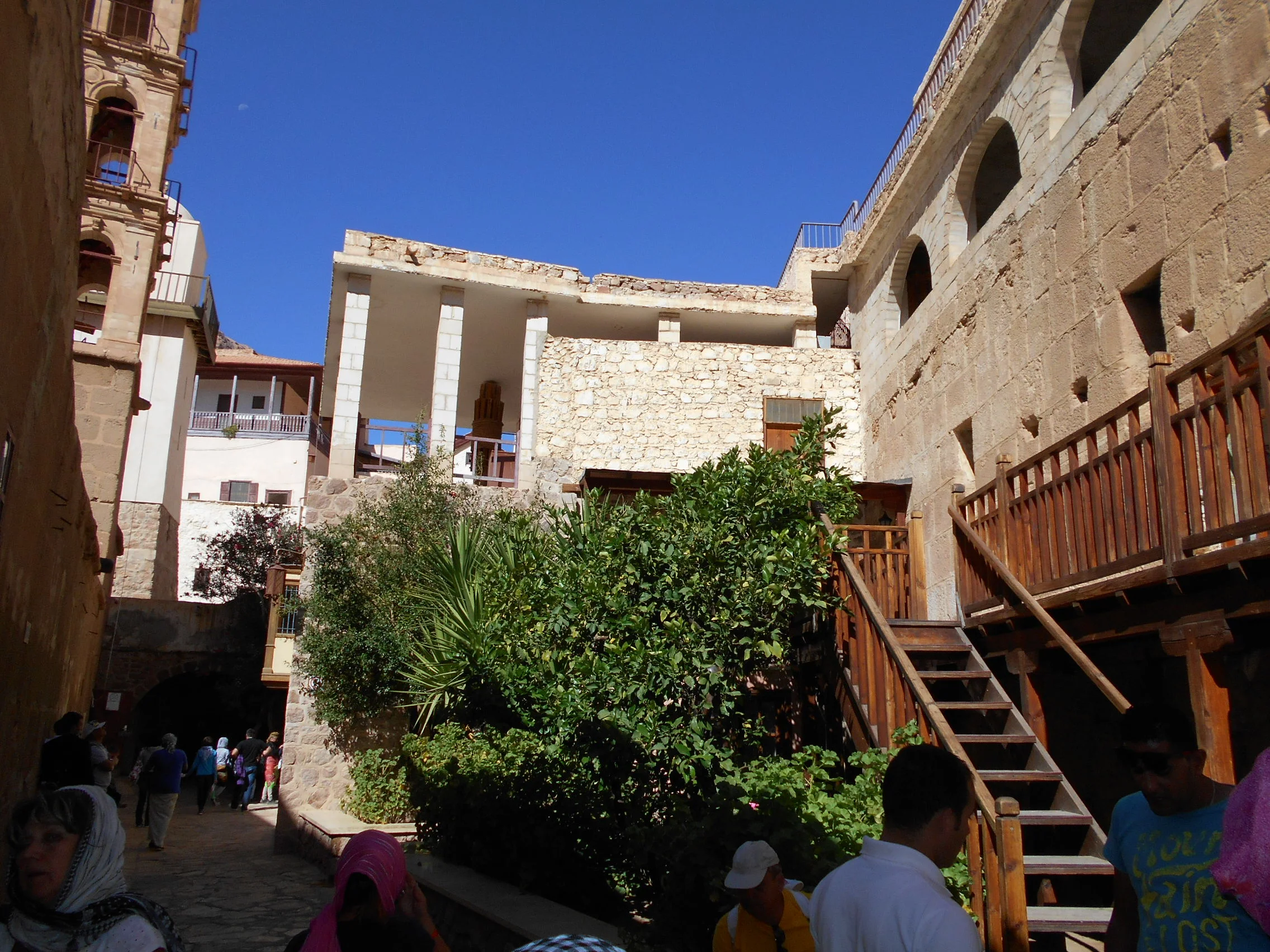 Изображение 1089.webp