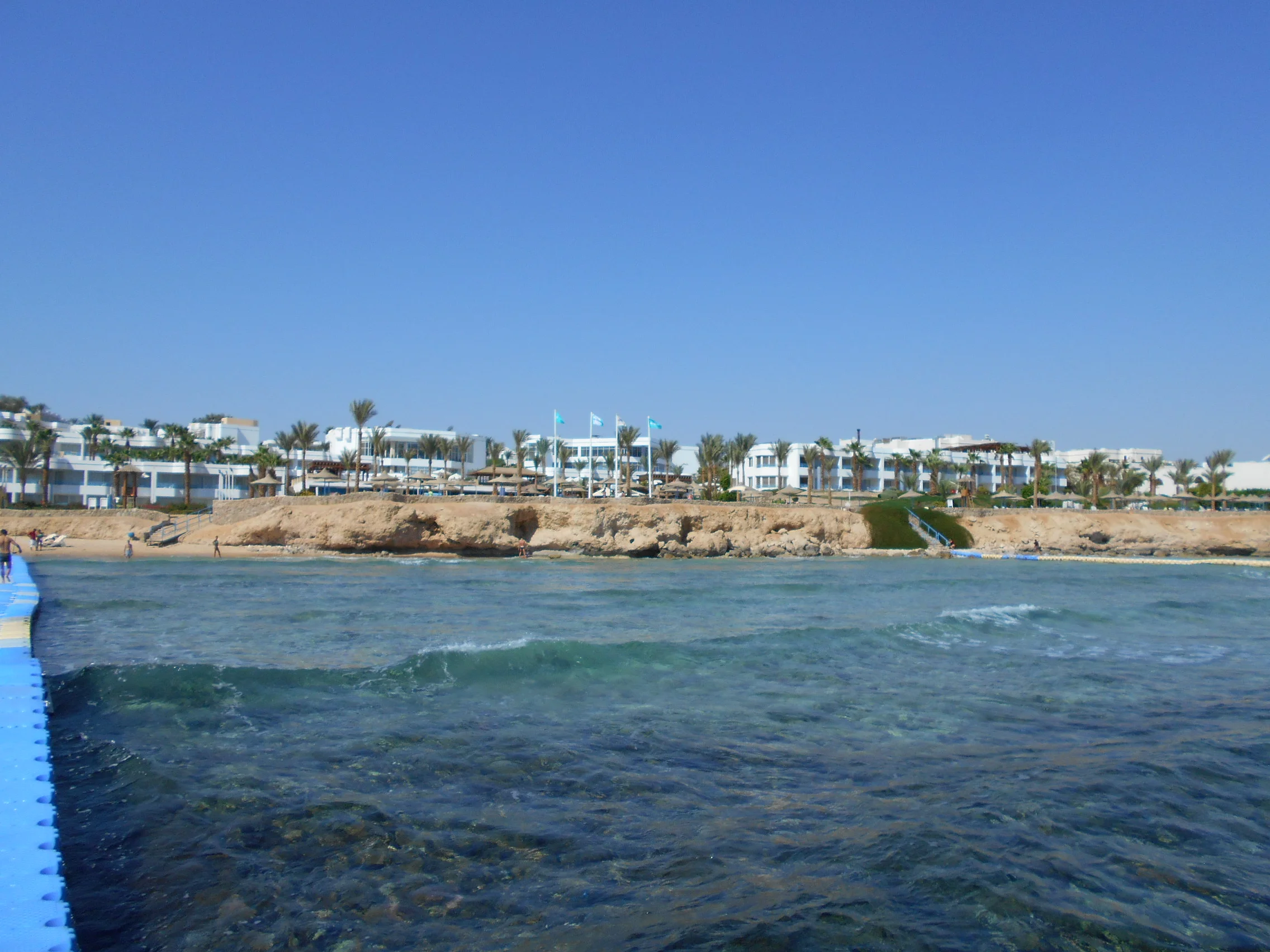 Изображение 1163.webp