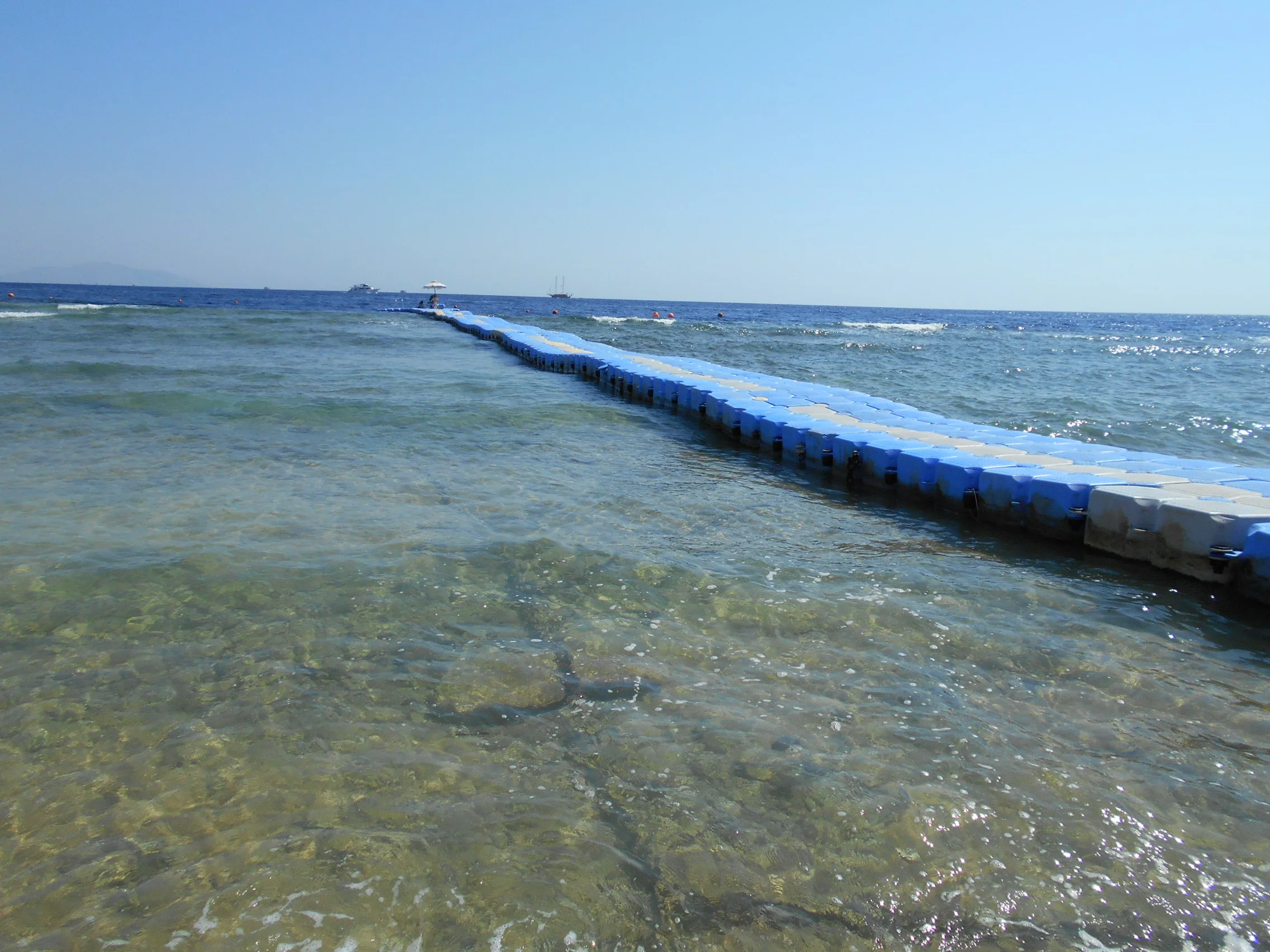 Изображение 1168.webp