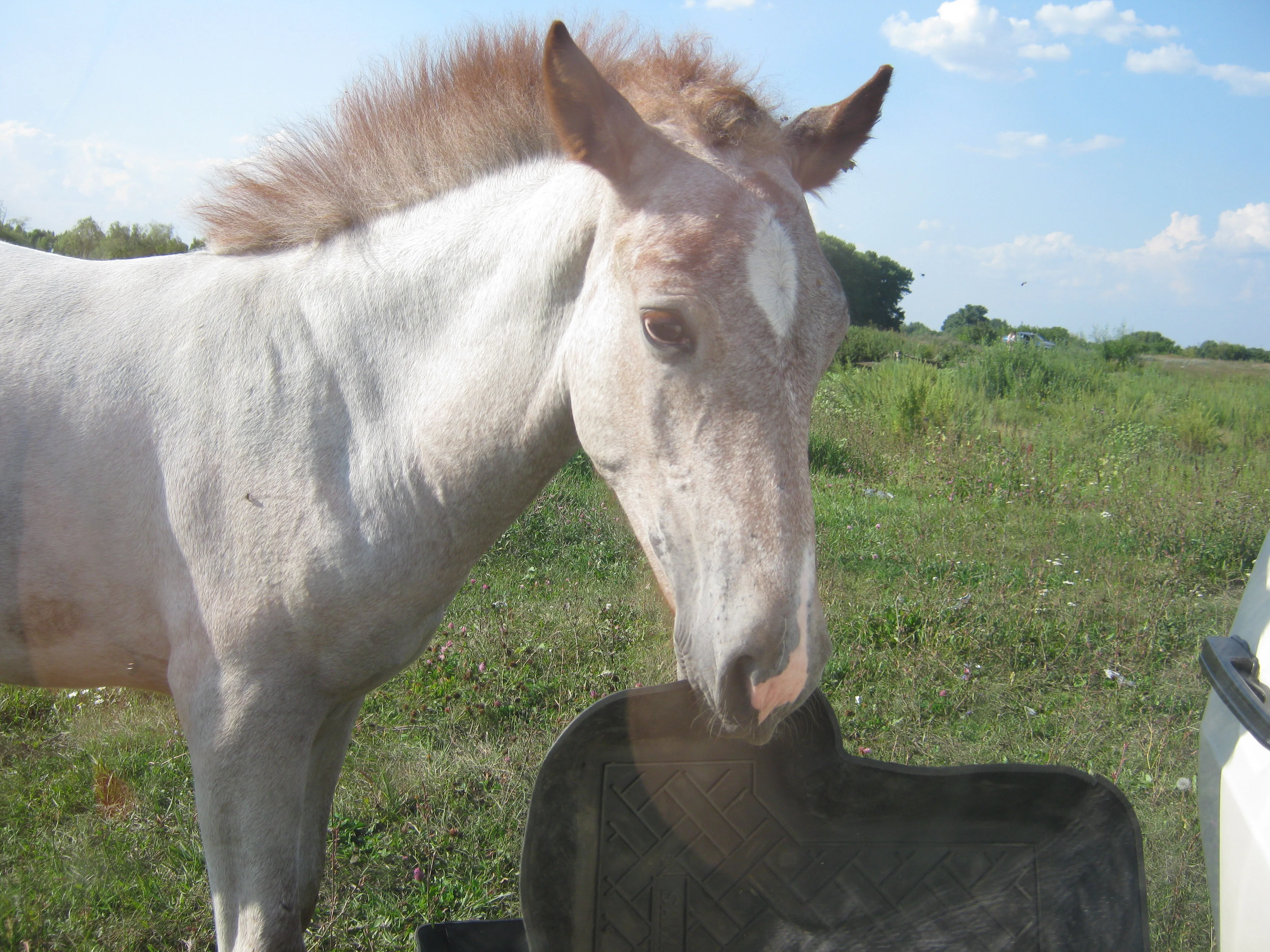 Изображение 124.webp