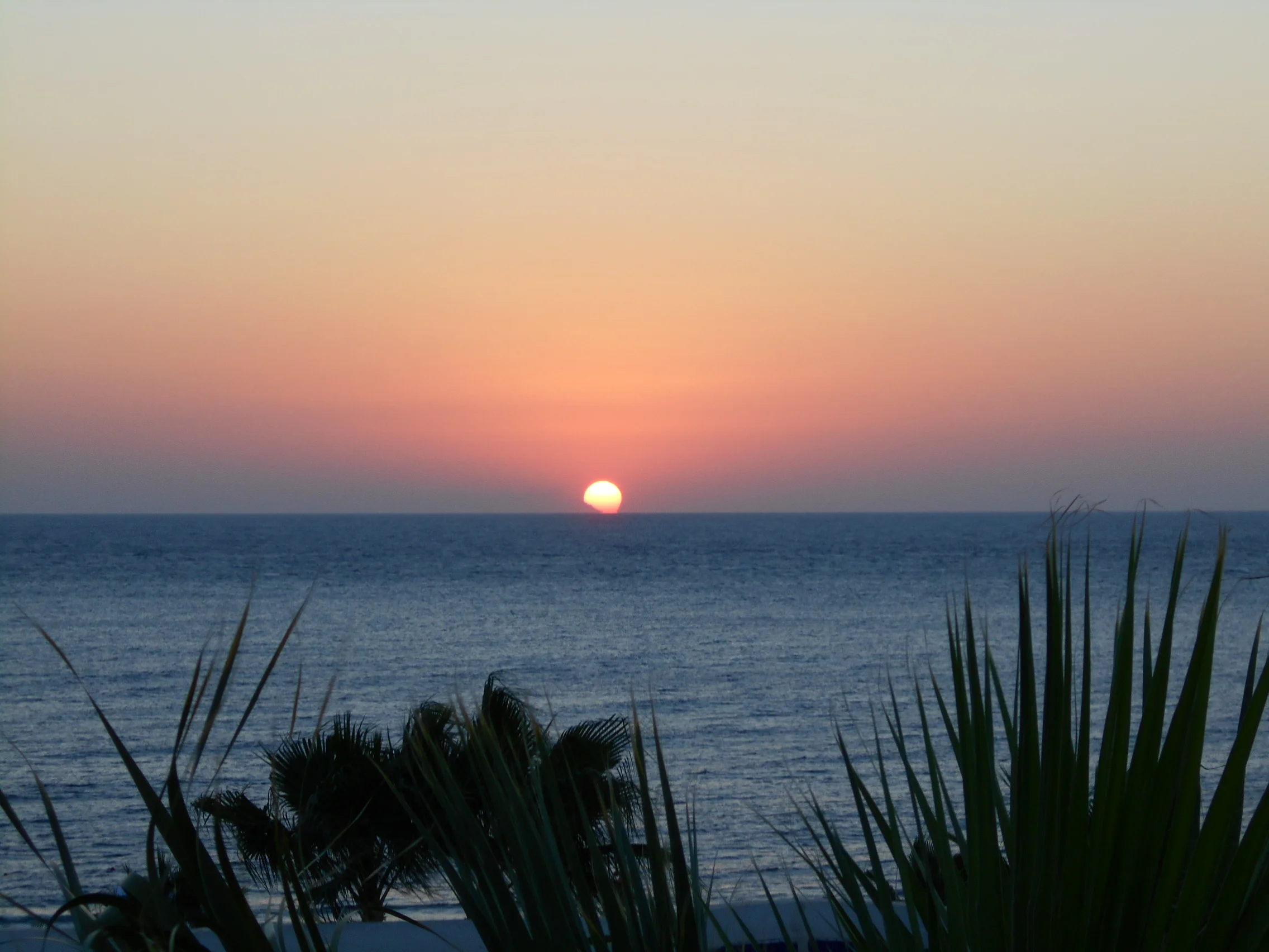 Изображение 1245.webp