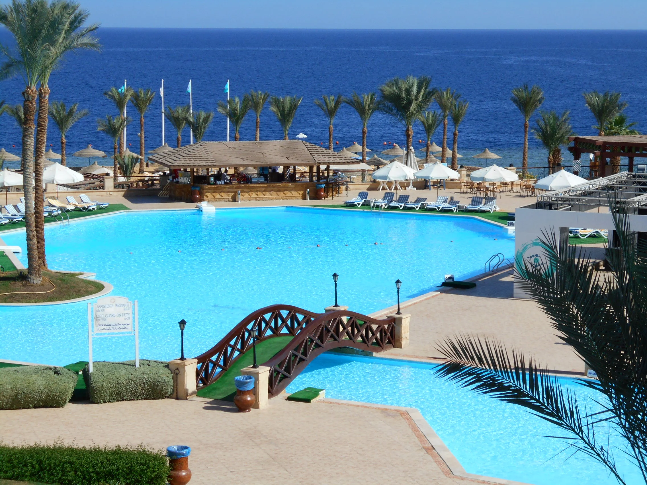 Изображение 1420.webp