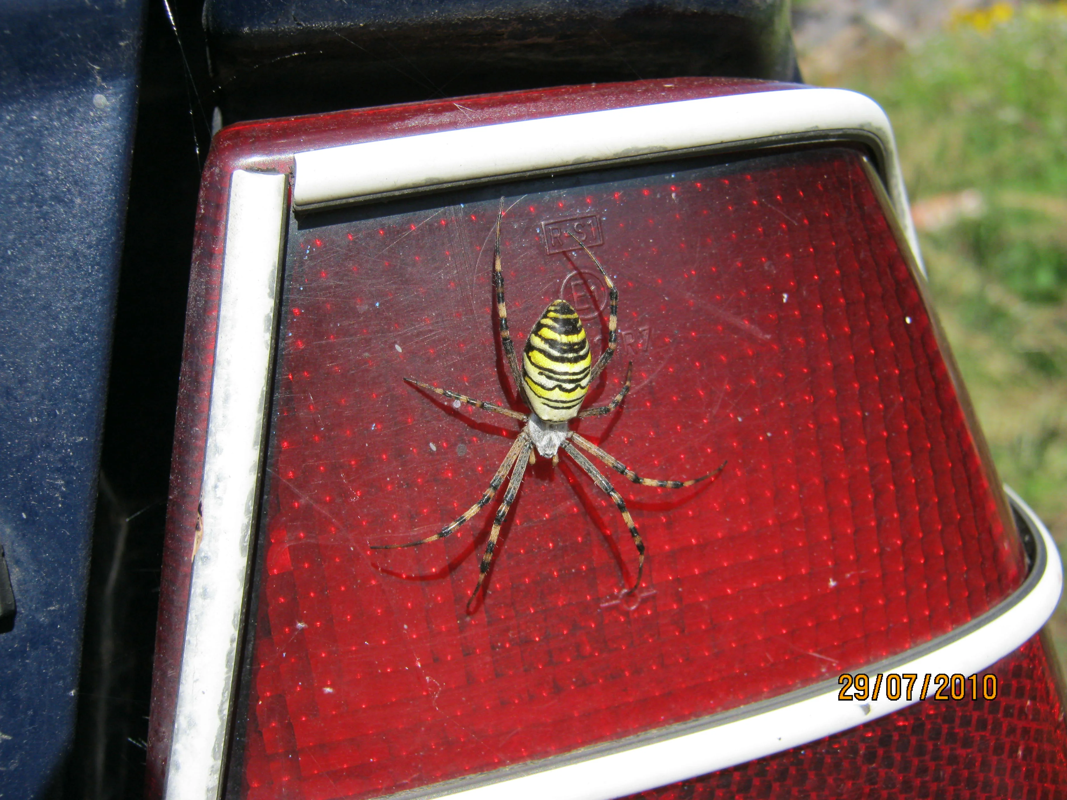 Изображение 147.webp