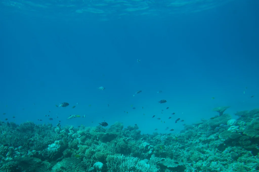 Изображение 153.webp