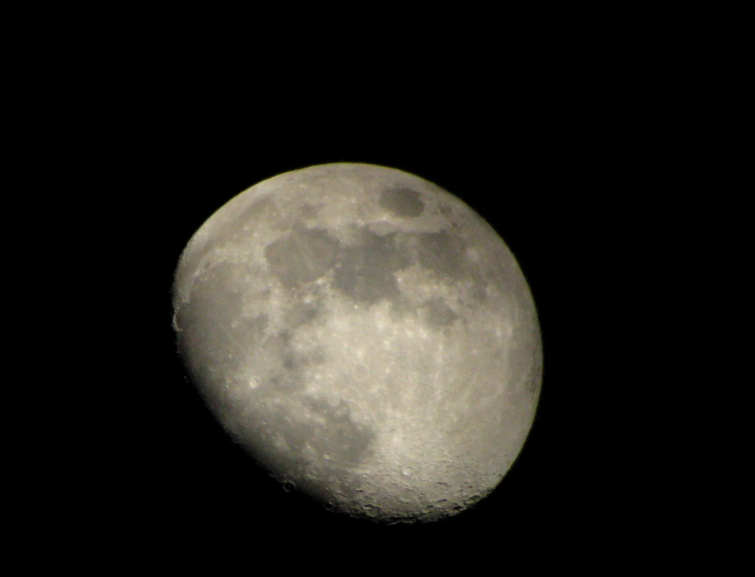 Изображение 167.webp