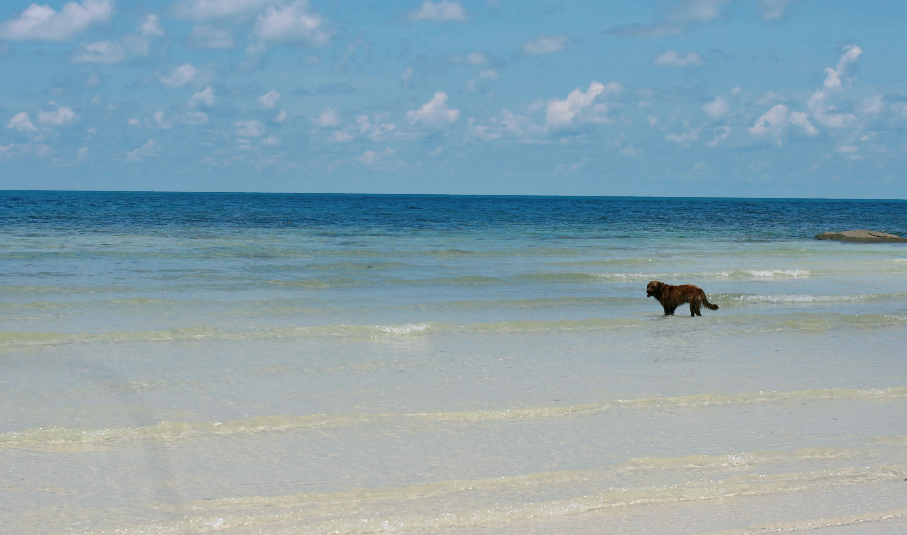 Изображение 285.webp