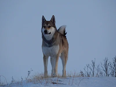 Изображение 311.webp