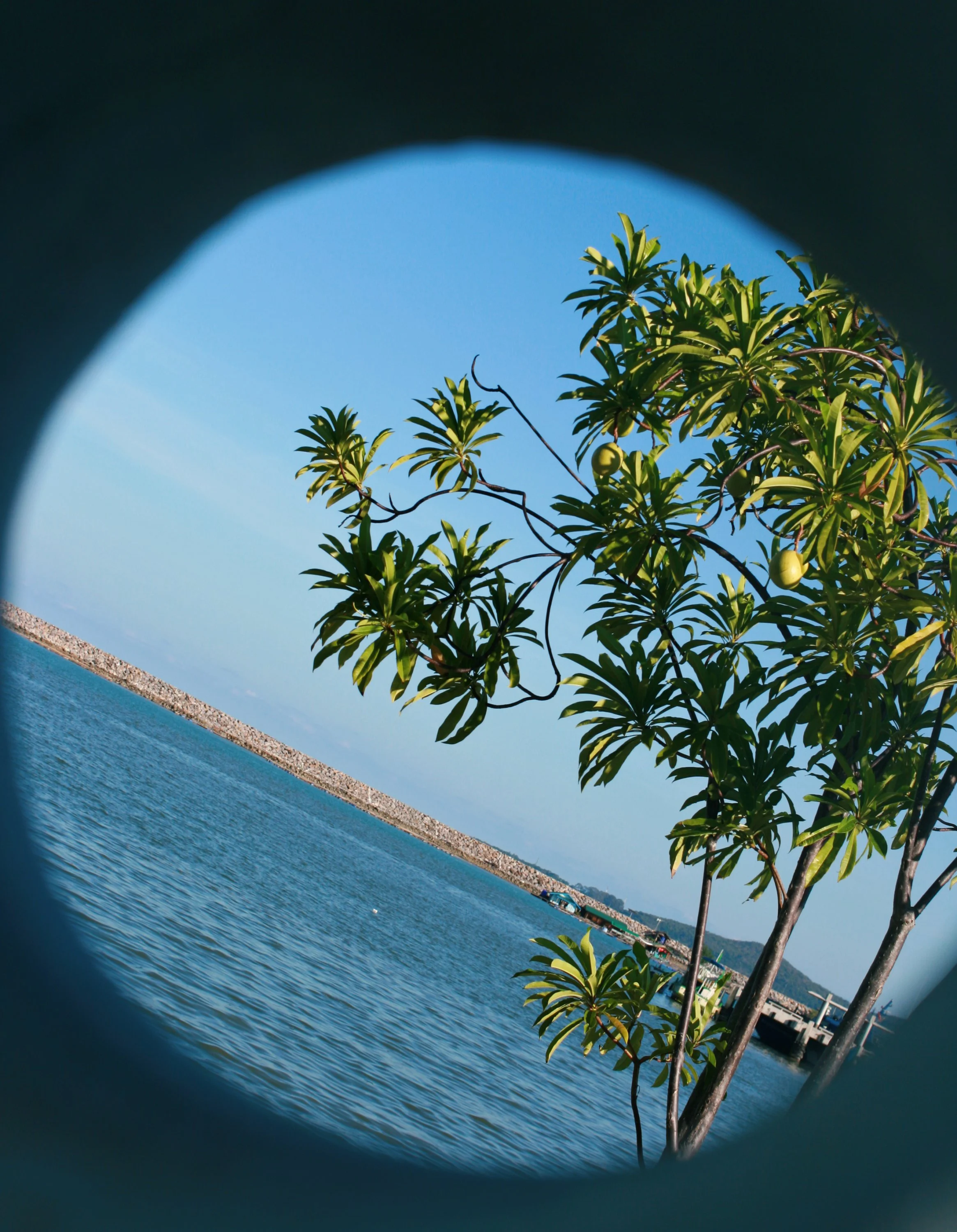 Изображение 341.webp