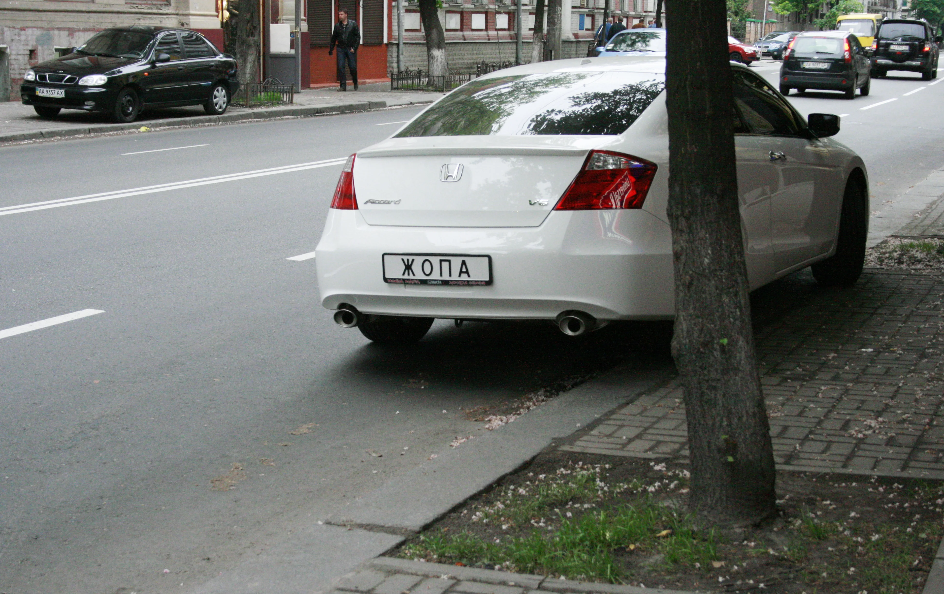 Изображение 353.webp