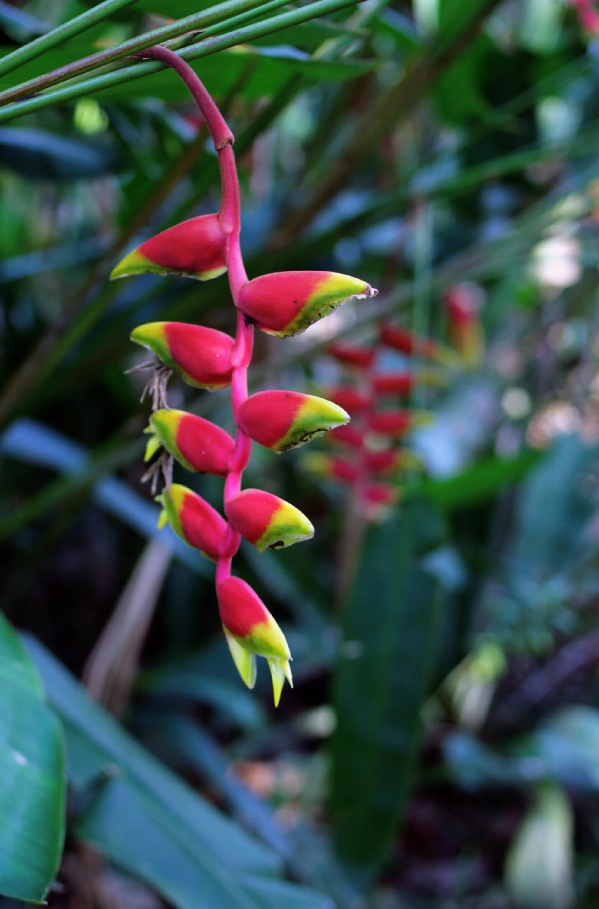 Изображение 382.webp