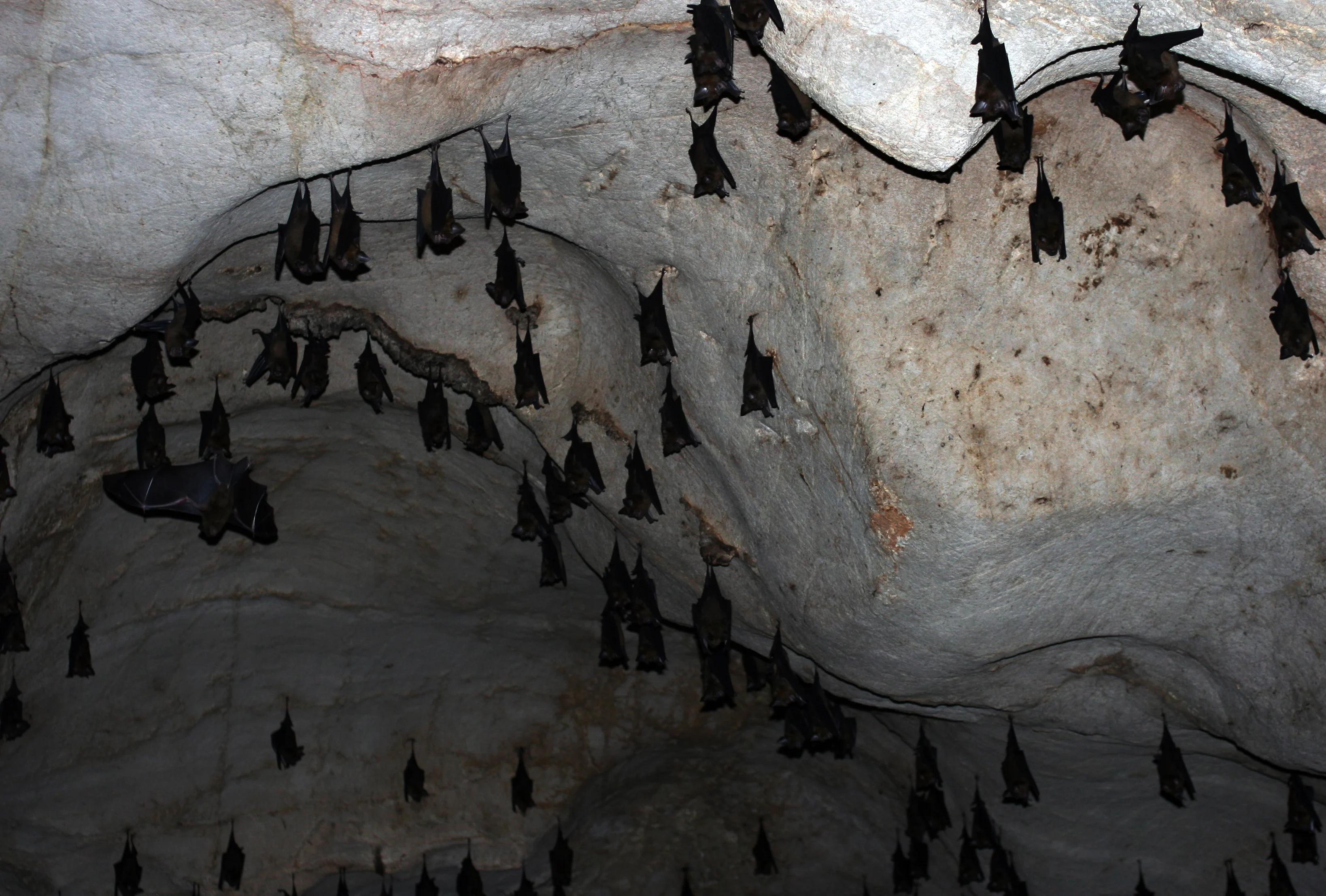 Изображение 403.webp