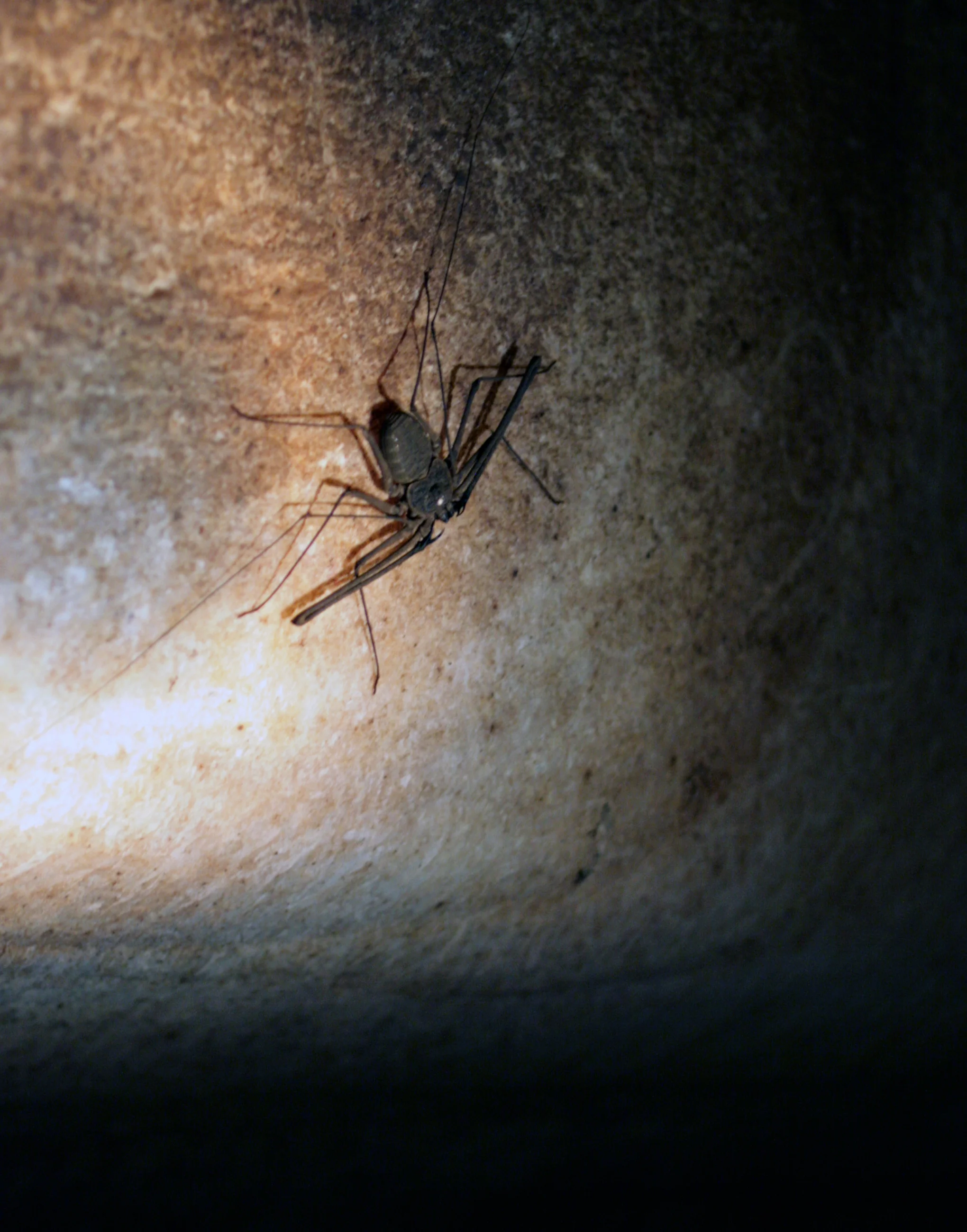 Изображение 407.webp