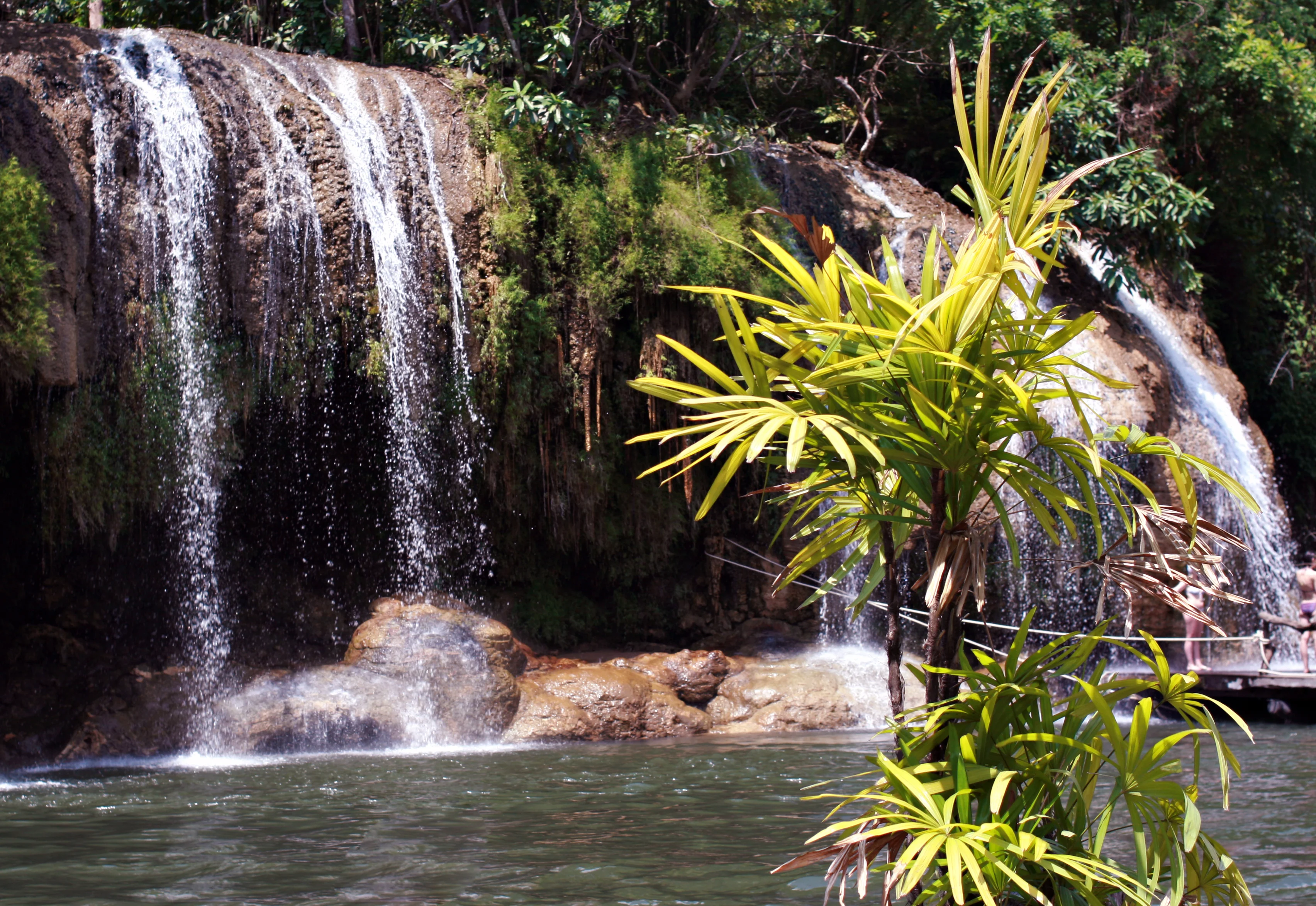 Изображение 459.webp