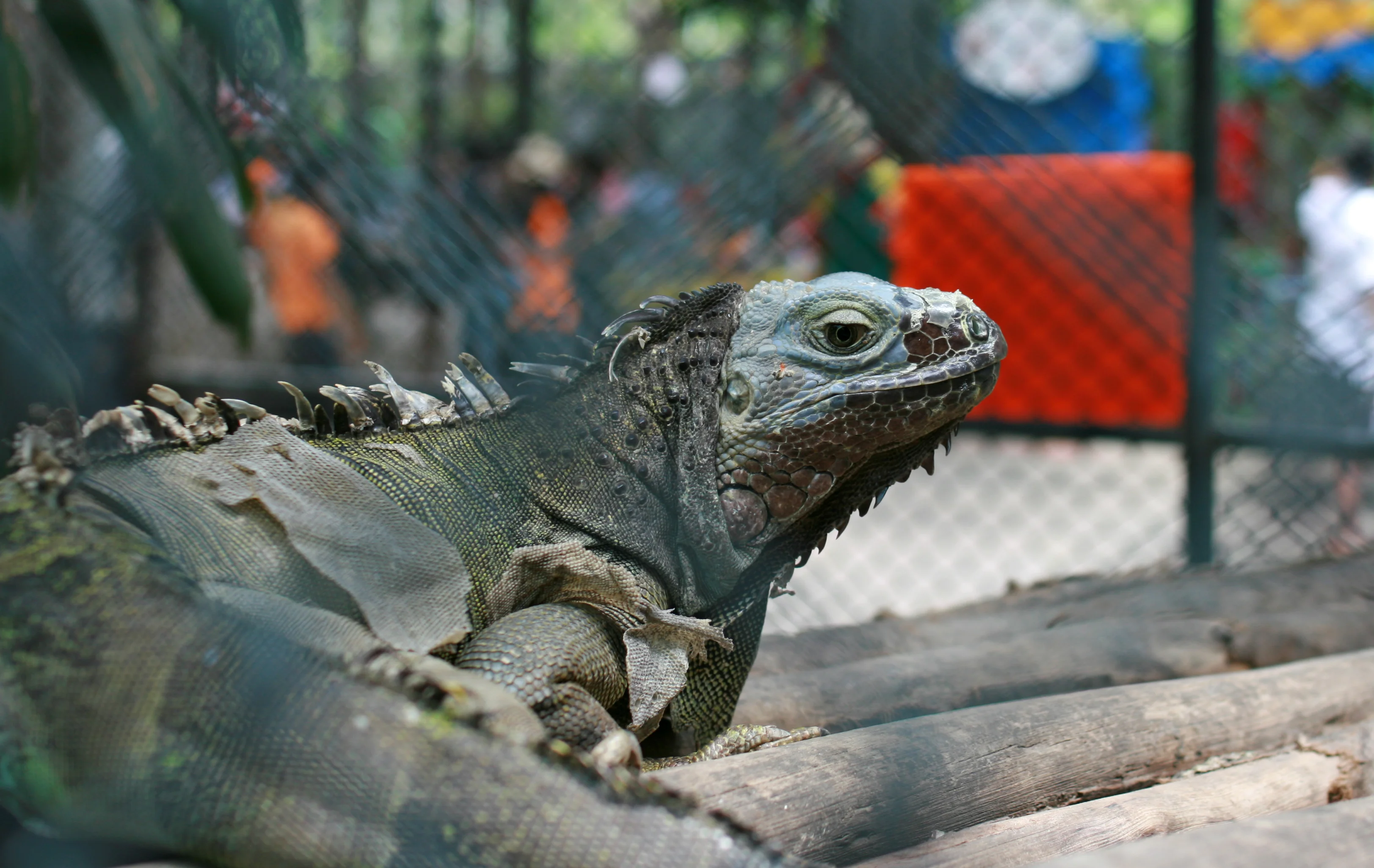 Изображение 635.webp