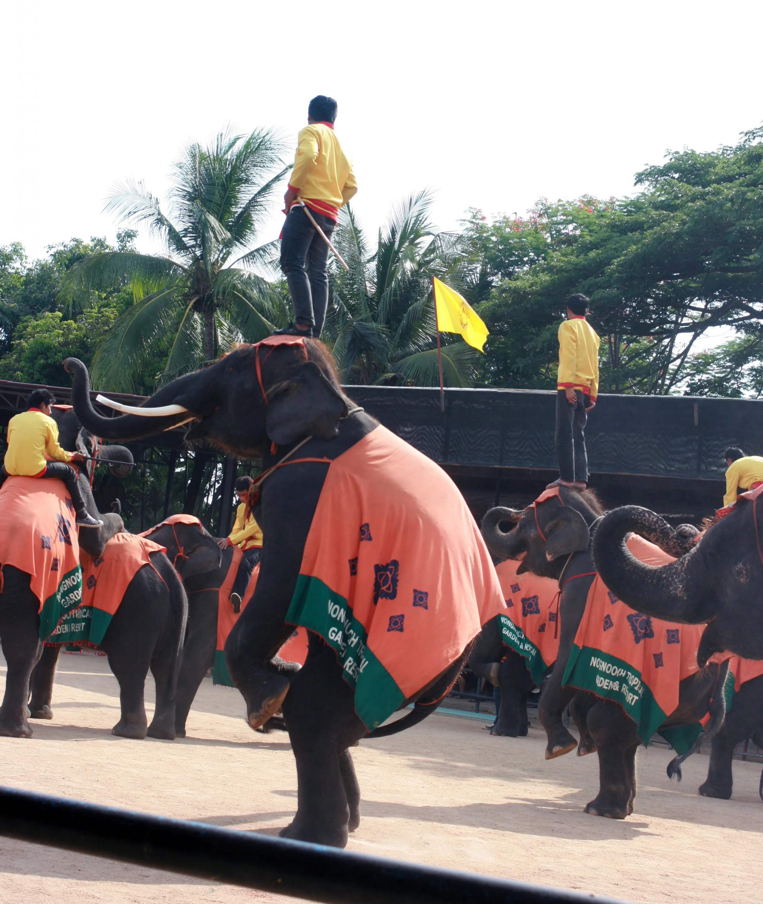 Изображение 739.webp