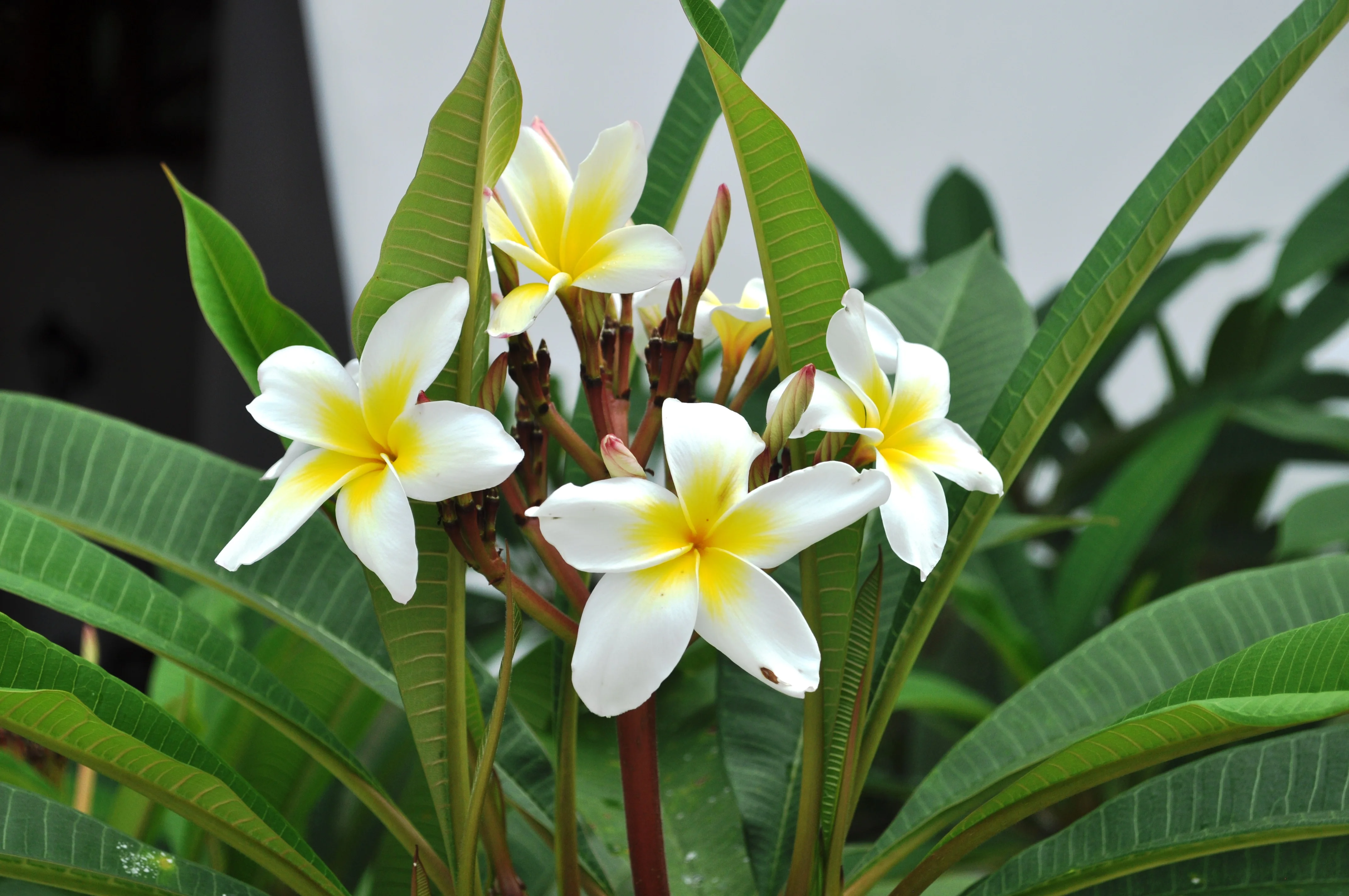 Изображение 864.webp