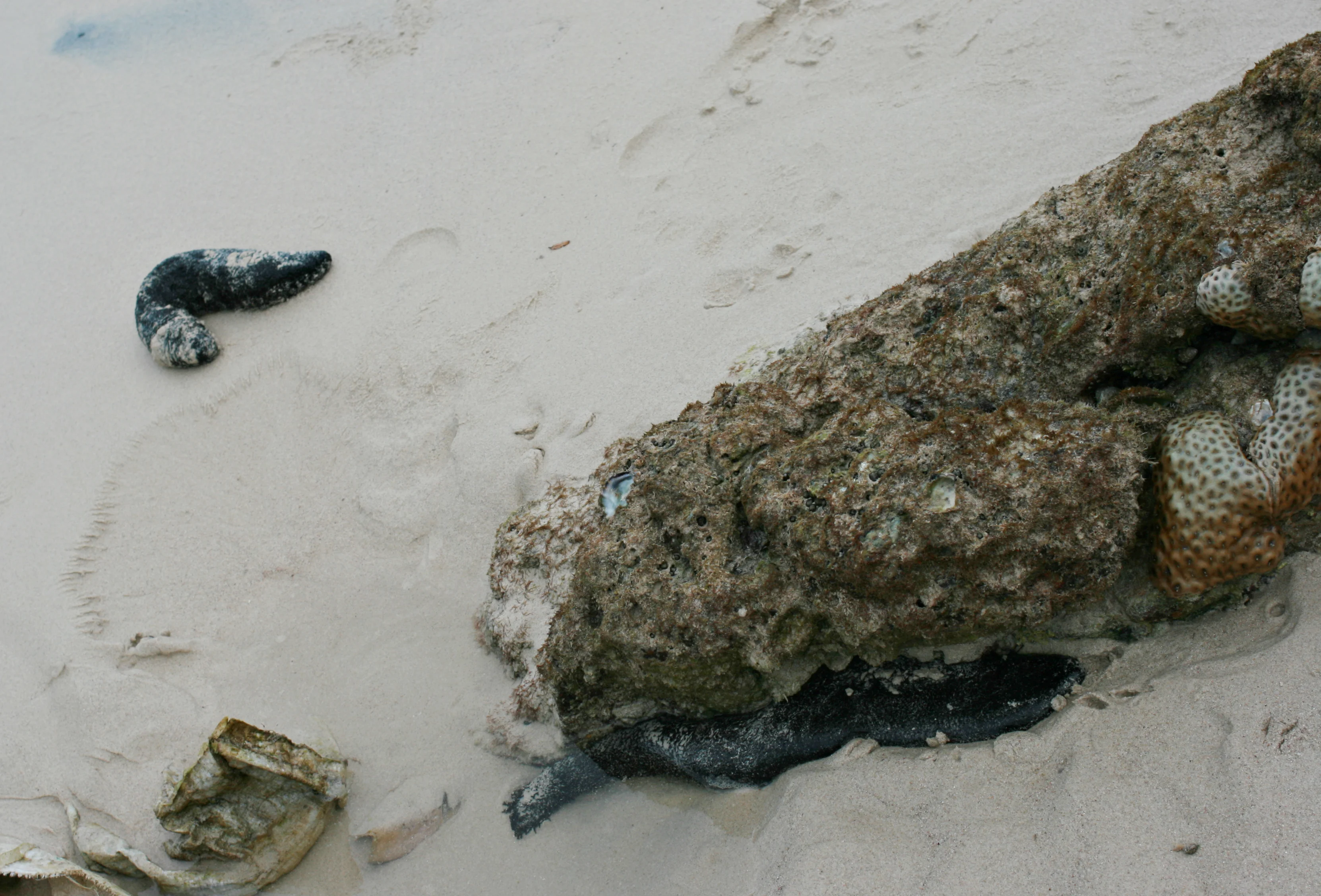 Изображение 906.webp