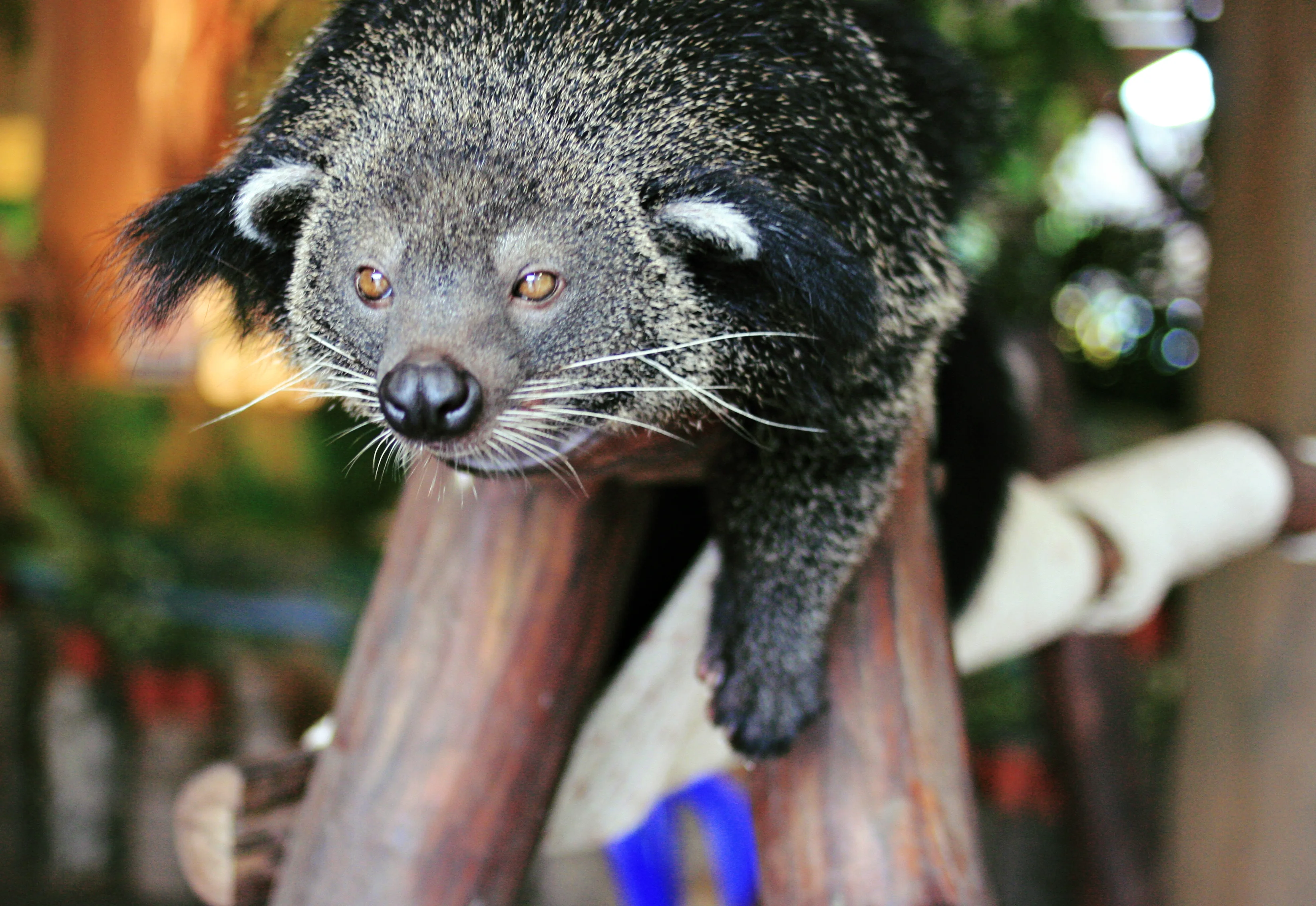 Изображение 947 copy.webp