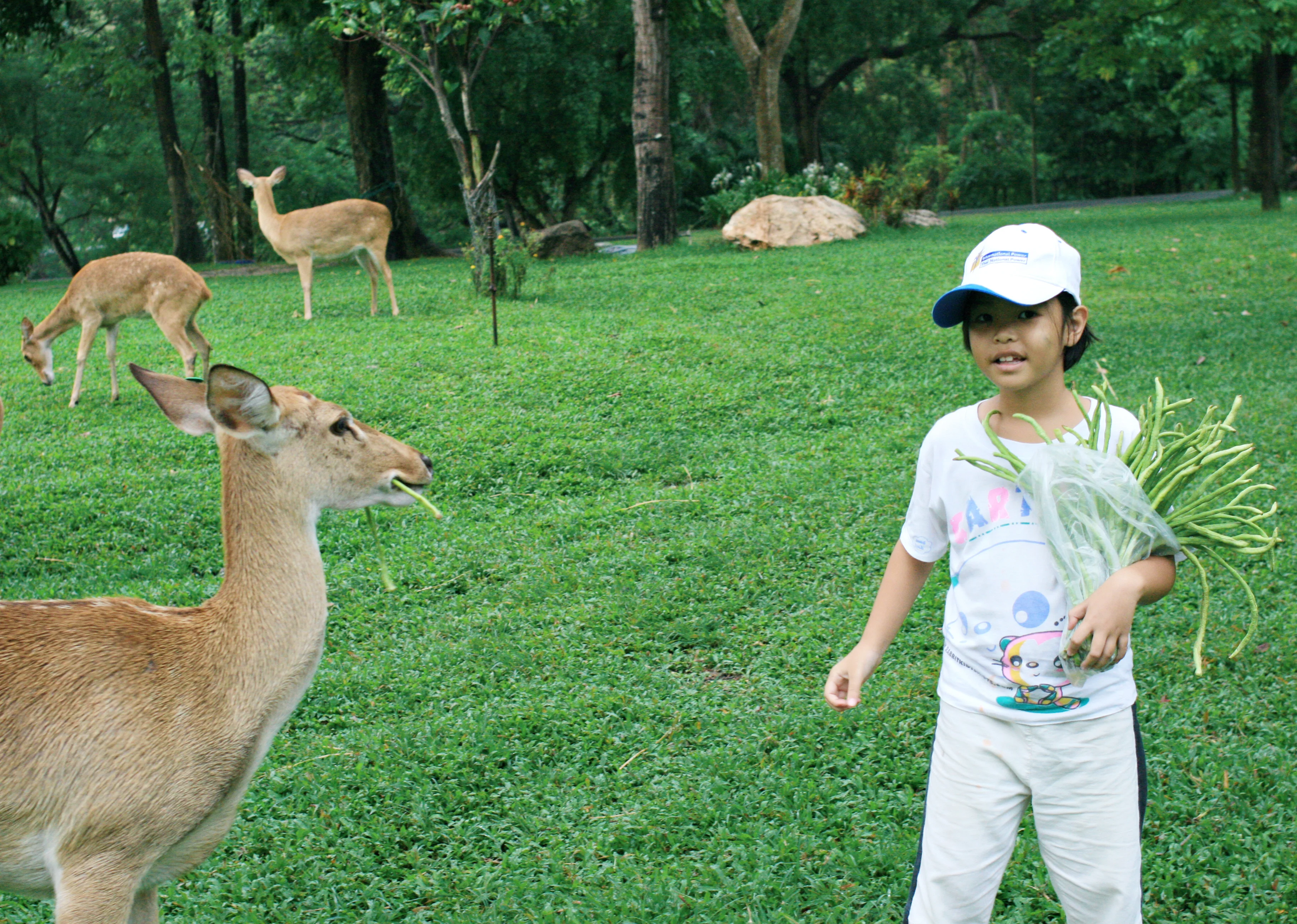 Изображение 976.webp