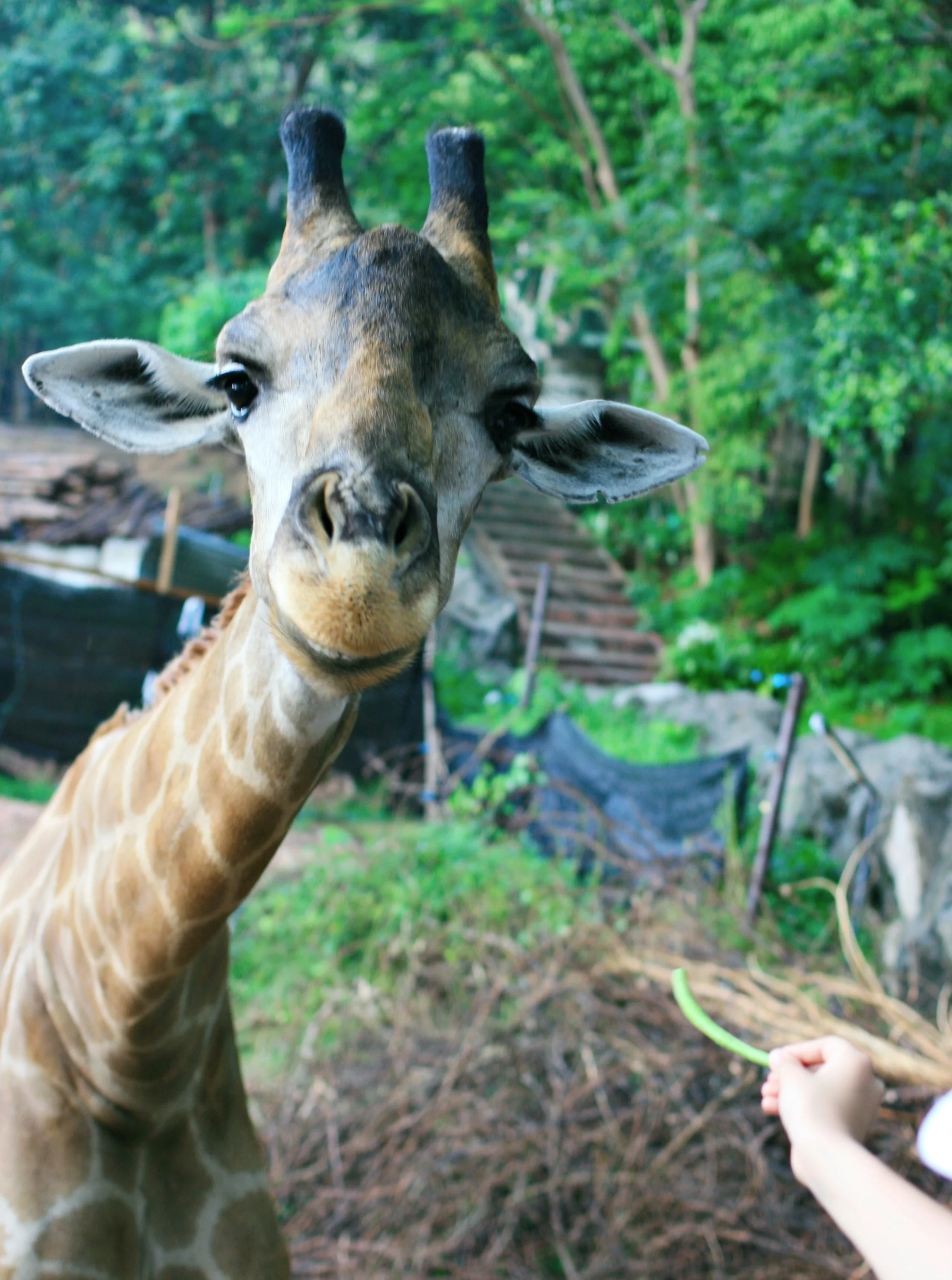 Изображение 990.webp