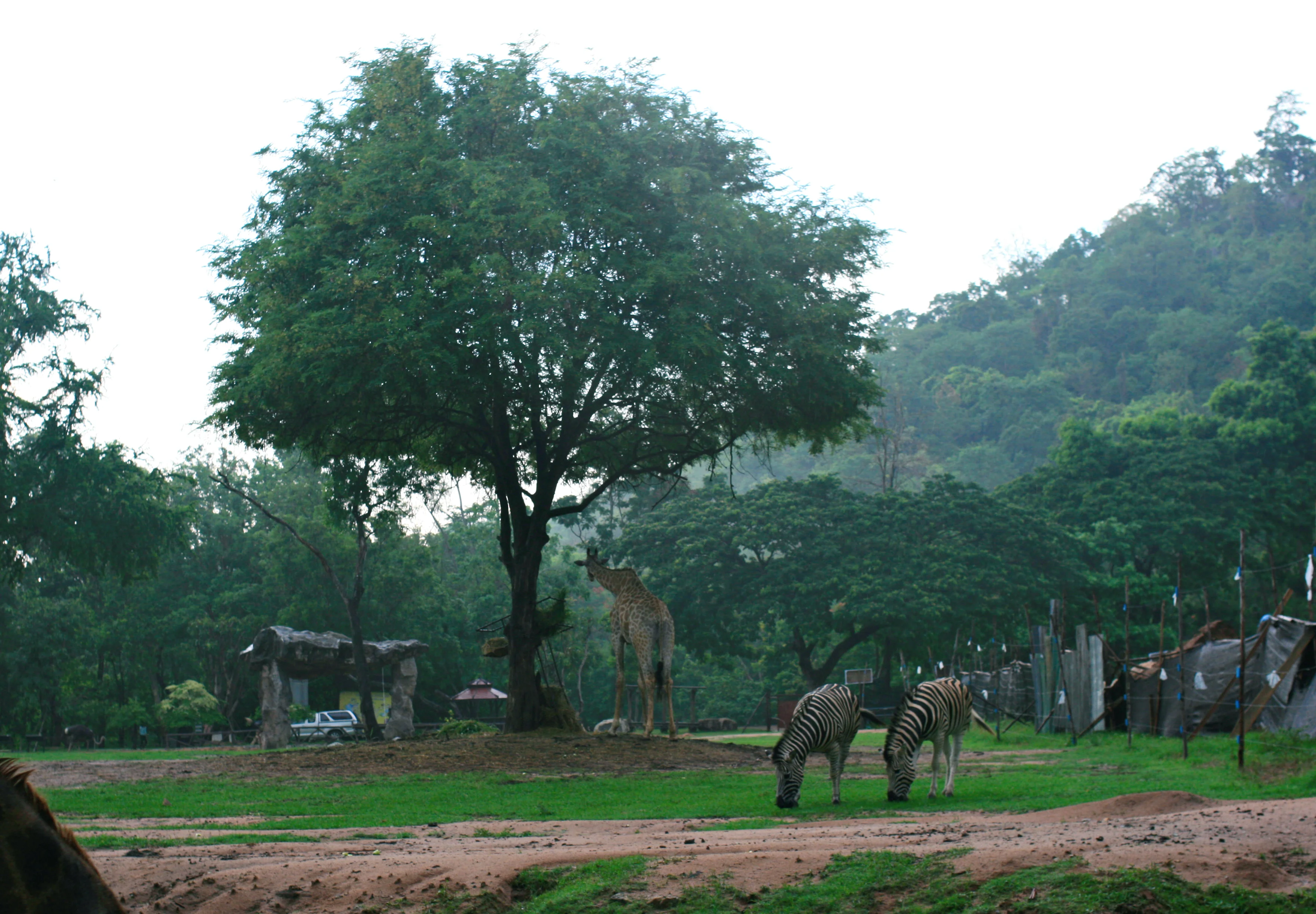 Изображение 991.webp