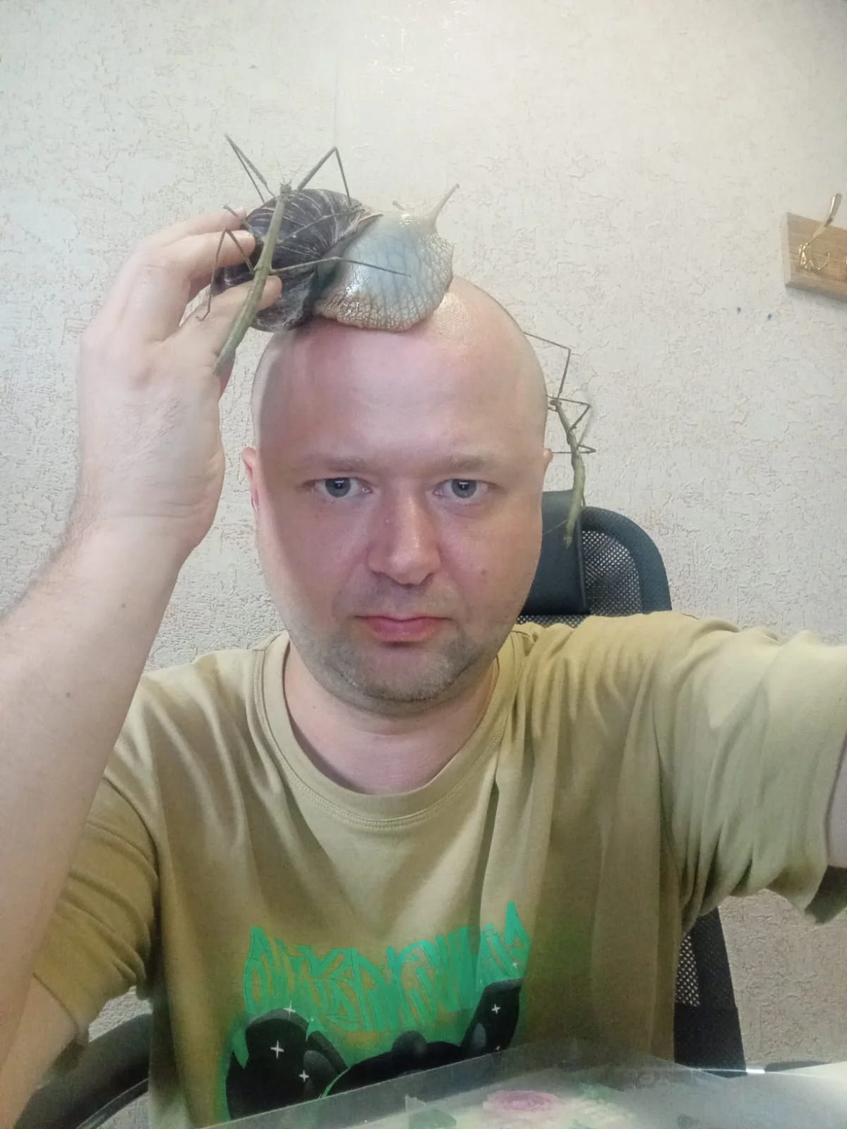 Изображение WhatsApp 2024-07-12 в 16.05.01_873eefcc.webp