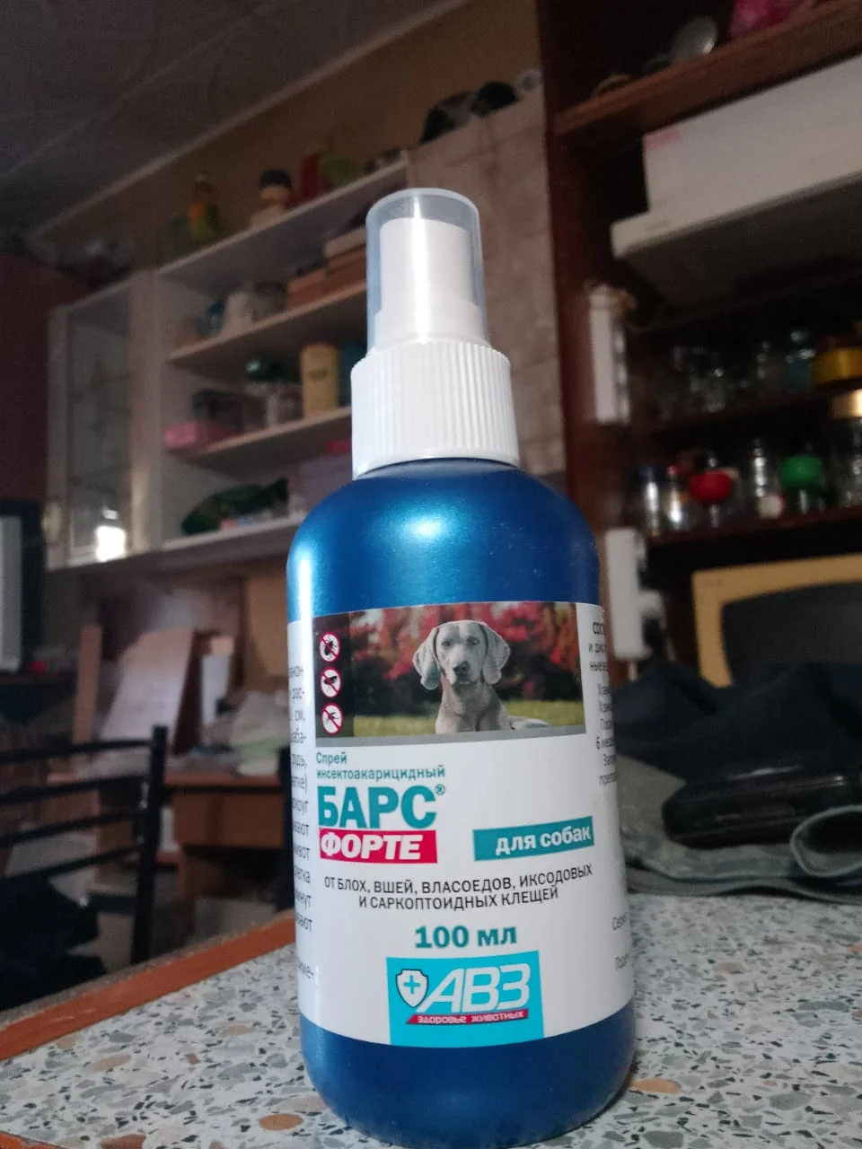 Изображение WhatsApp 2024-08-18 в 09.03.46_a9fe0d85.webp