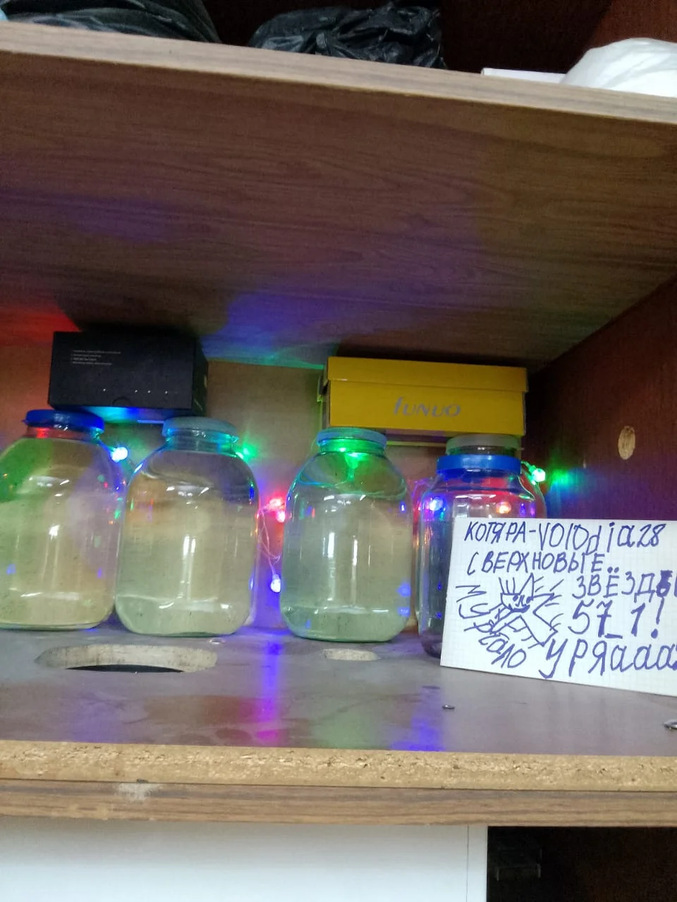 Изображение WhatsApp 2024-08-29 в 15.39.32_290ac0a1.webp