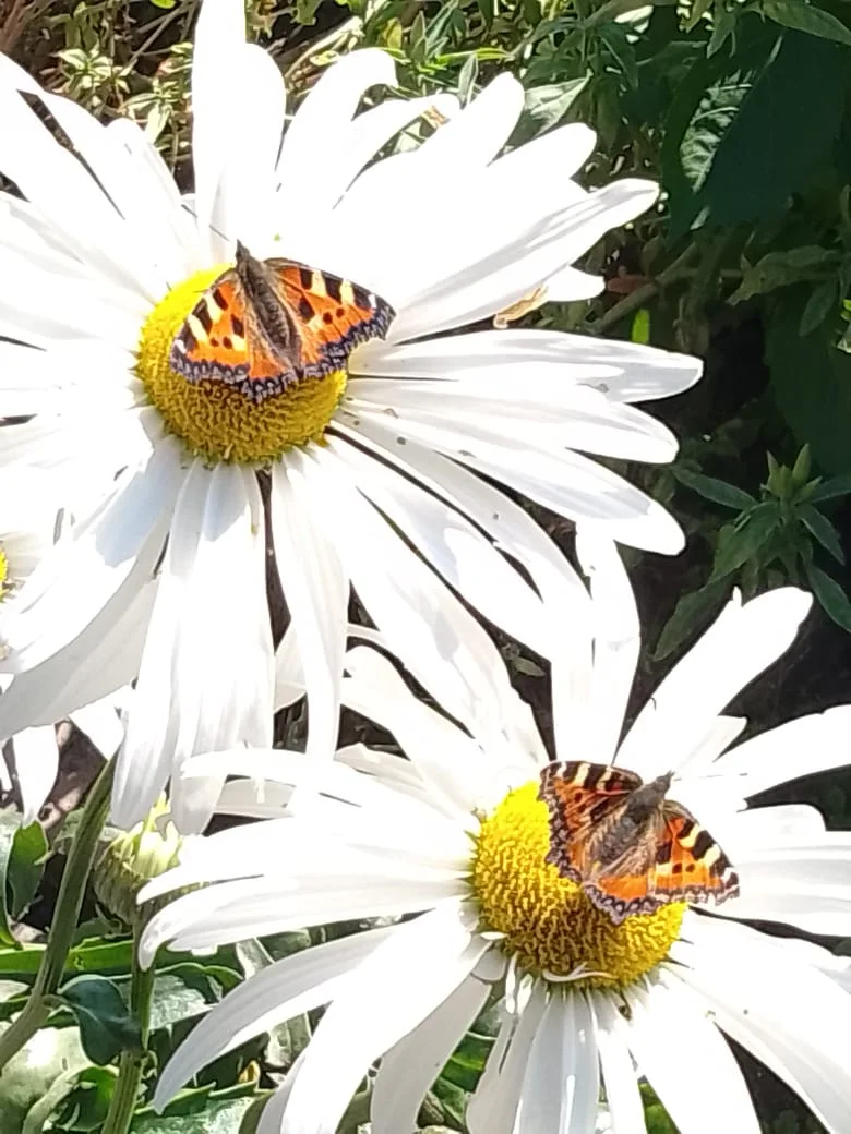 Изображение WhatsApp 2024-09-11 в 15.59.08_843faaa9.webp