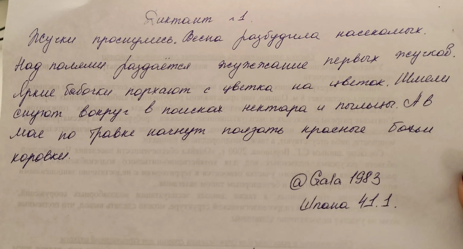 Изображение WhatsApp 2024-09-16 в 16.42.31_b7d83441.webp