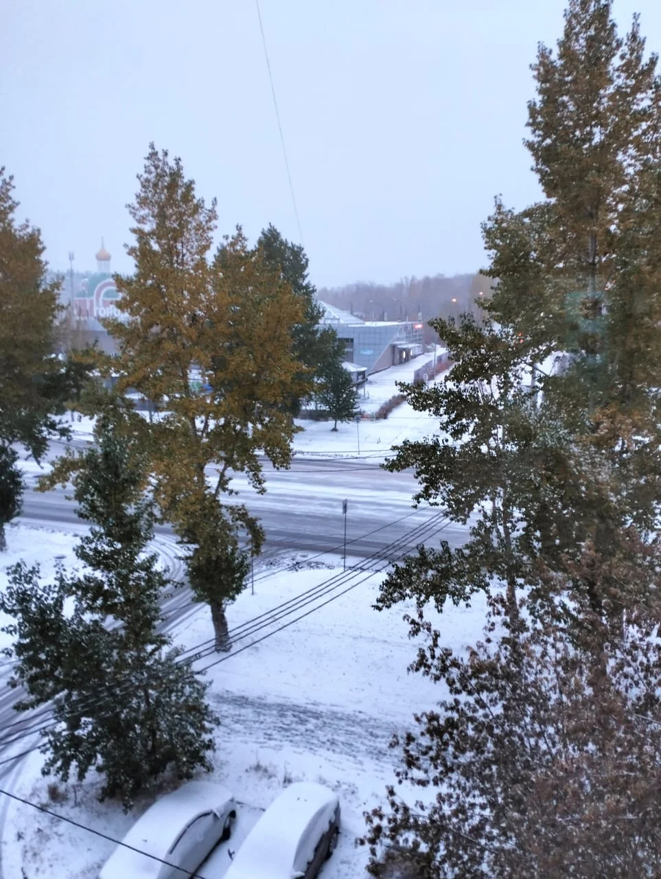 Изображение WhatsApp 2024-10-11 в 07.19.18_d4962018.webp