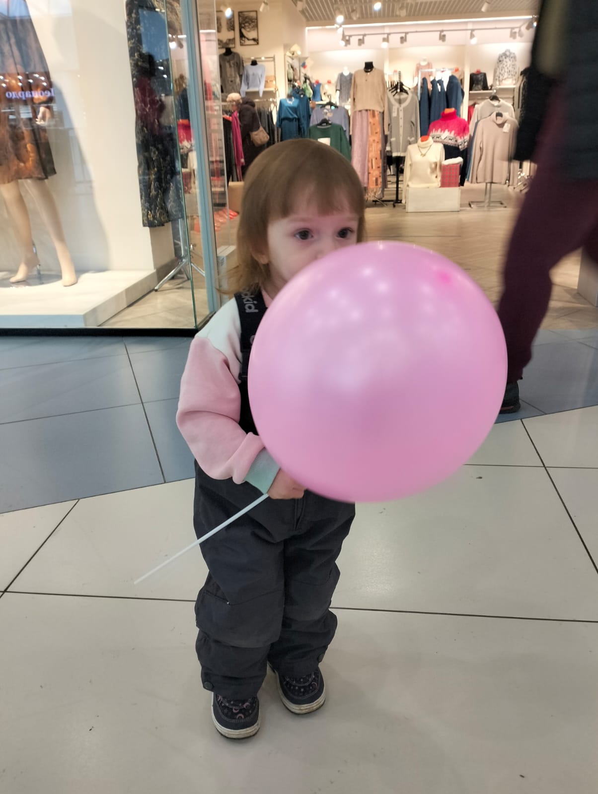 Изображение WhatsApp 2024-11-14 в 12.10.20_ea88aff9.jpg