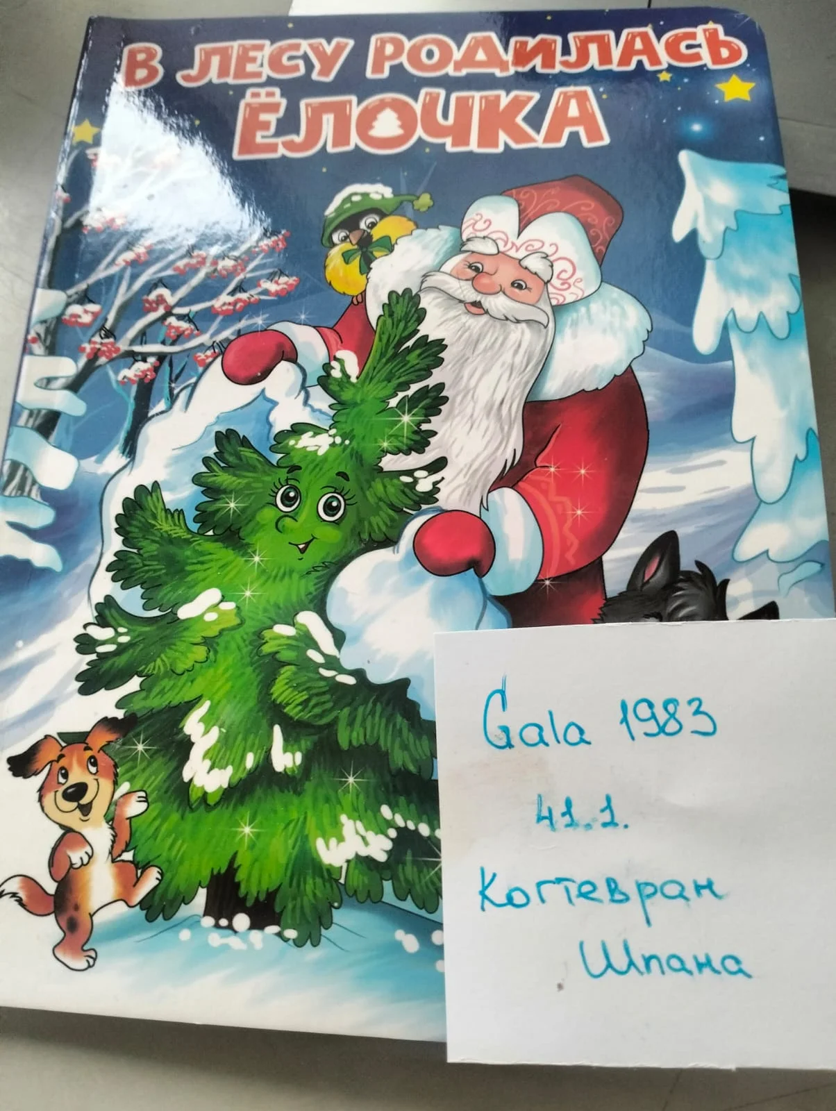 Изображение WhatsApp 2024-12-10 в 15.22.57_8d6cc49f.webp