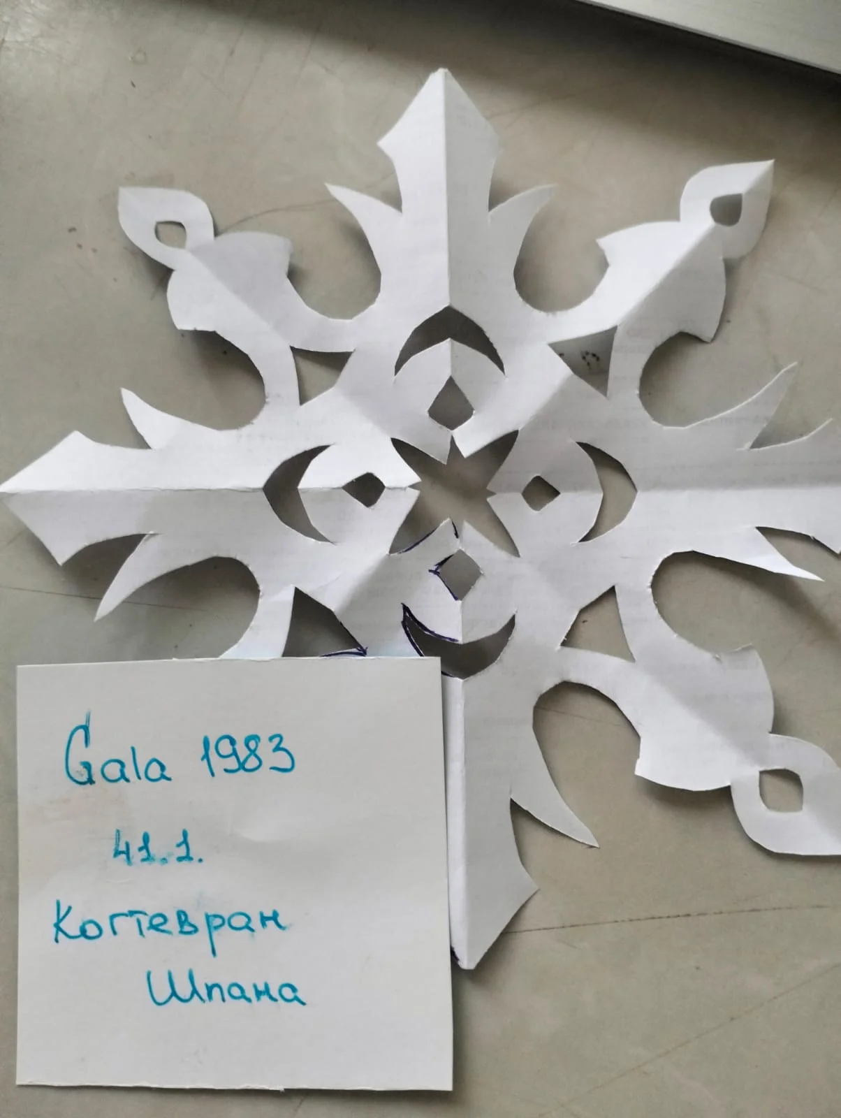 Изображение WhatsApp 2024-12-10 в 15.22.58_15912192.webp