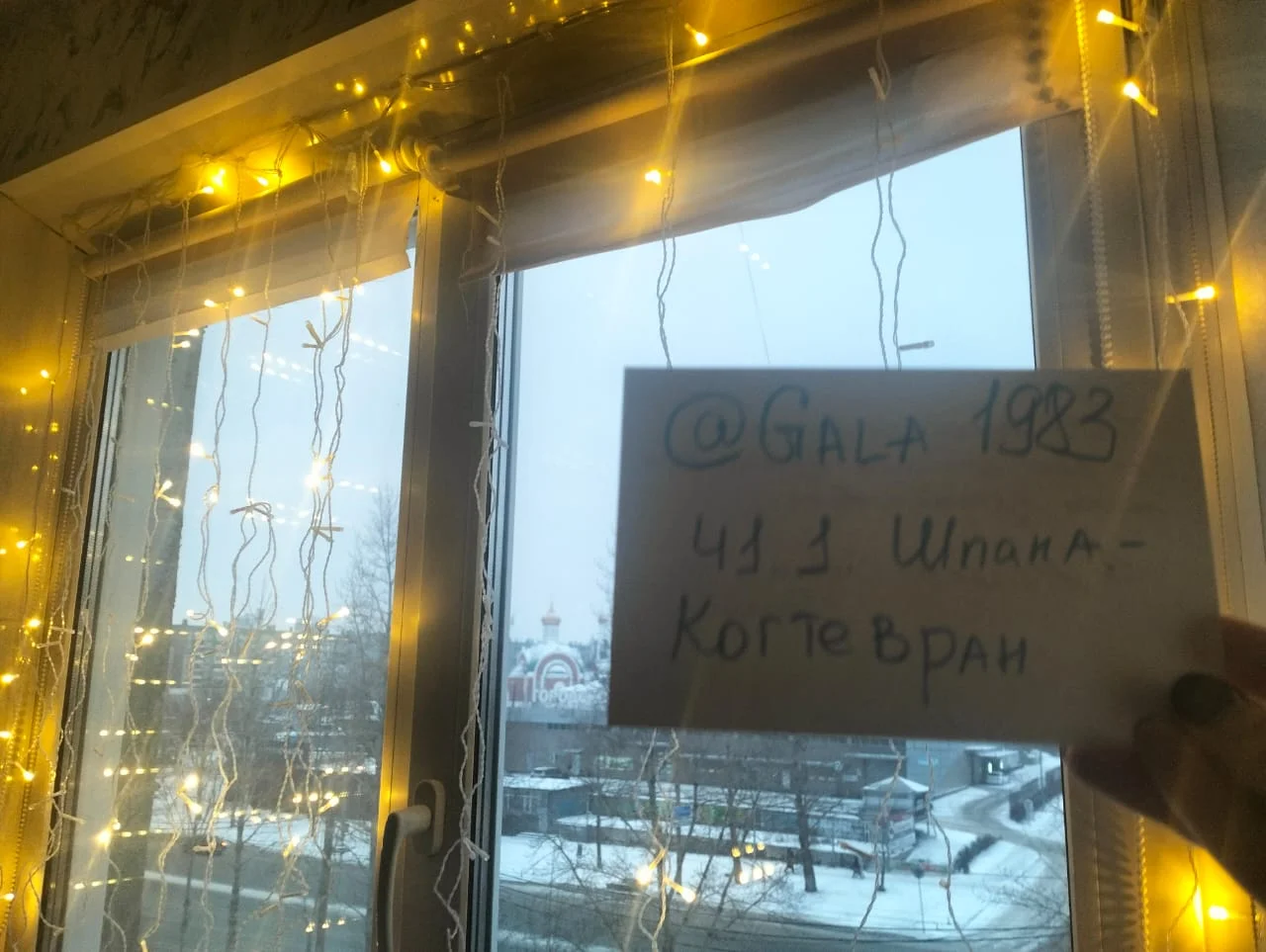 Изображение WhatsApp 2024-12-13 в 16.23.09_f61fb129.webp