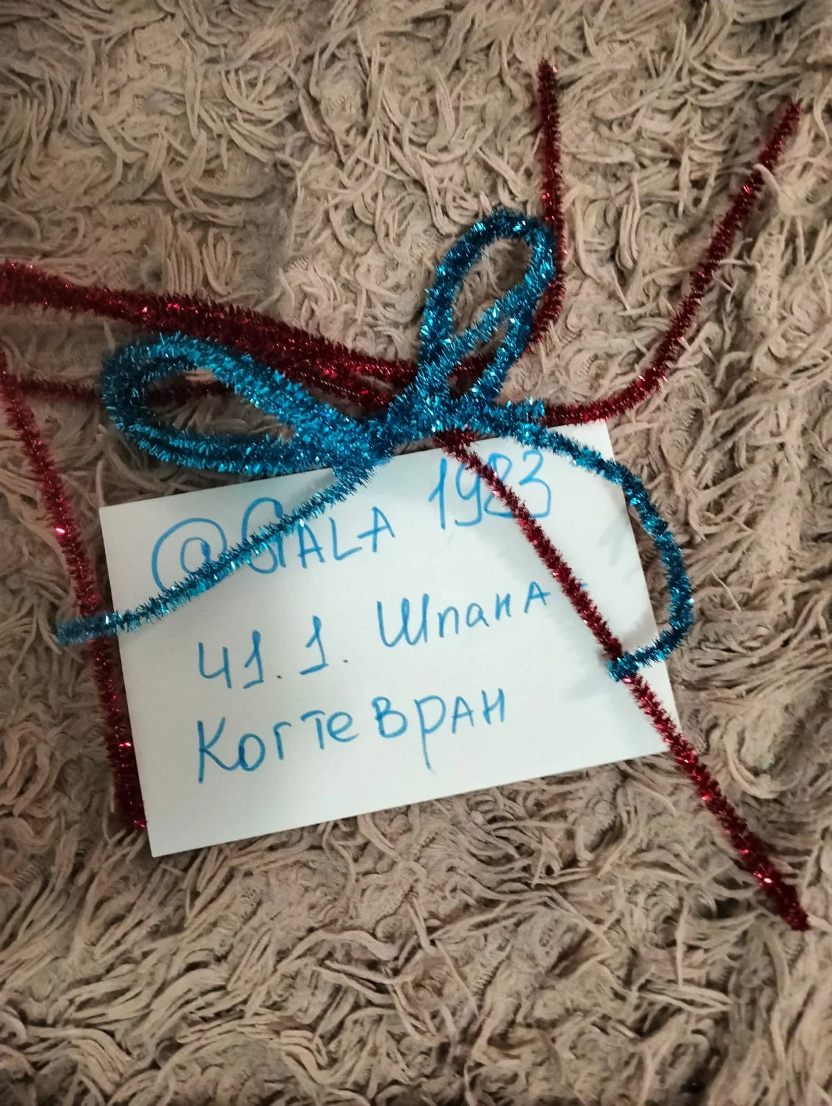 Изображение WhatsApp 2024-12-17 в 19.00.32_c8a22b3b.webp